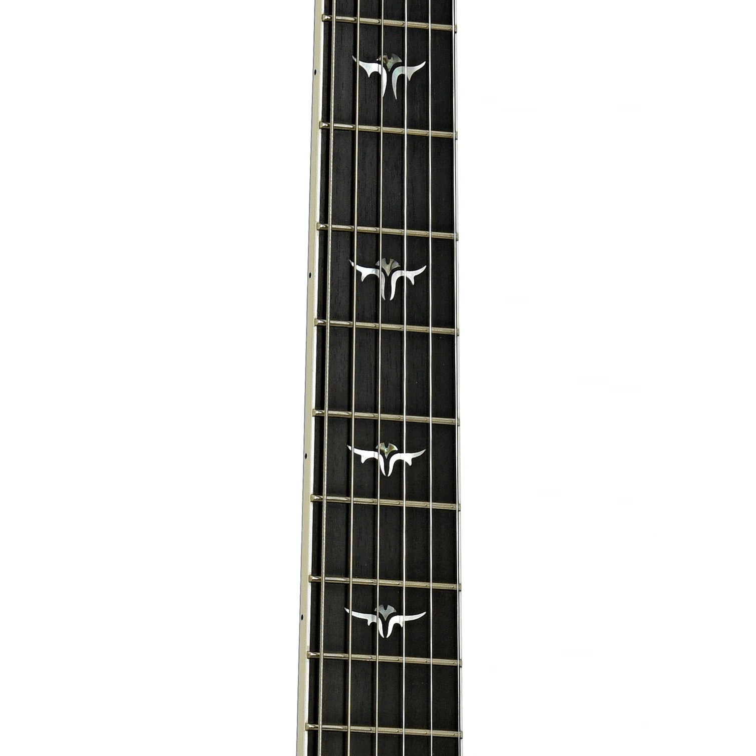 Fretboard of Taylor T5-C Hollowbody Electric Guitar 