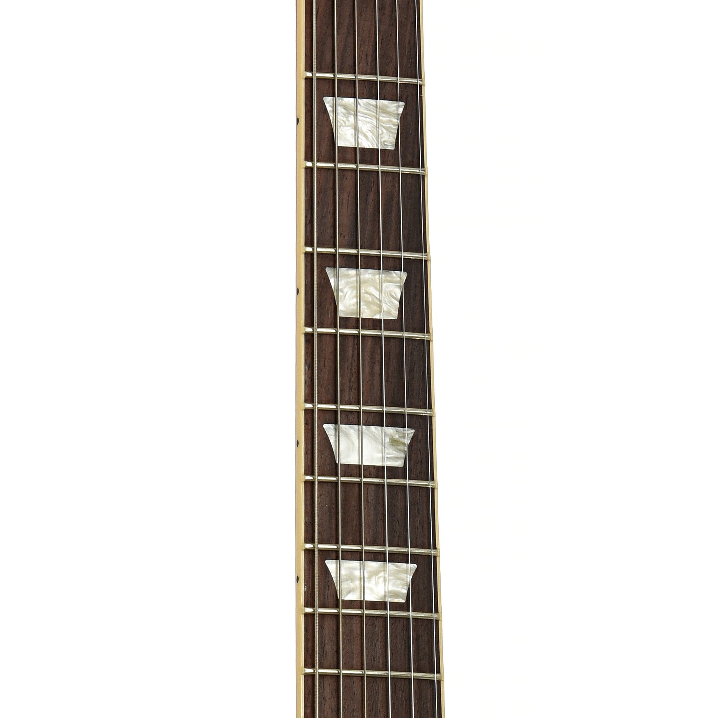 Fretboard of Gibson Les Paul Standard Electric Guitar 