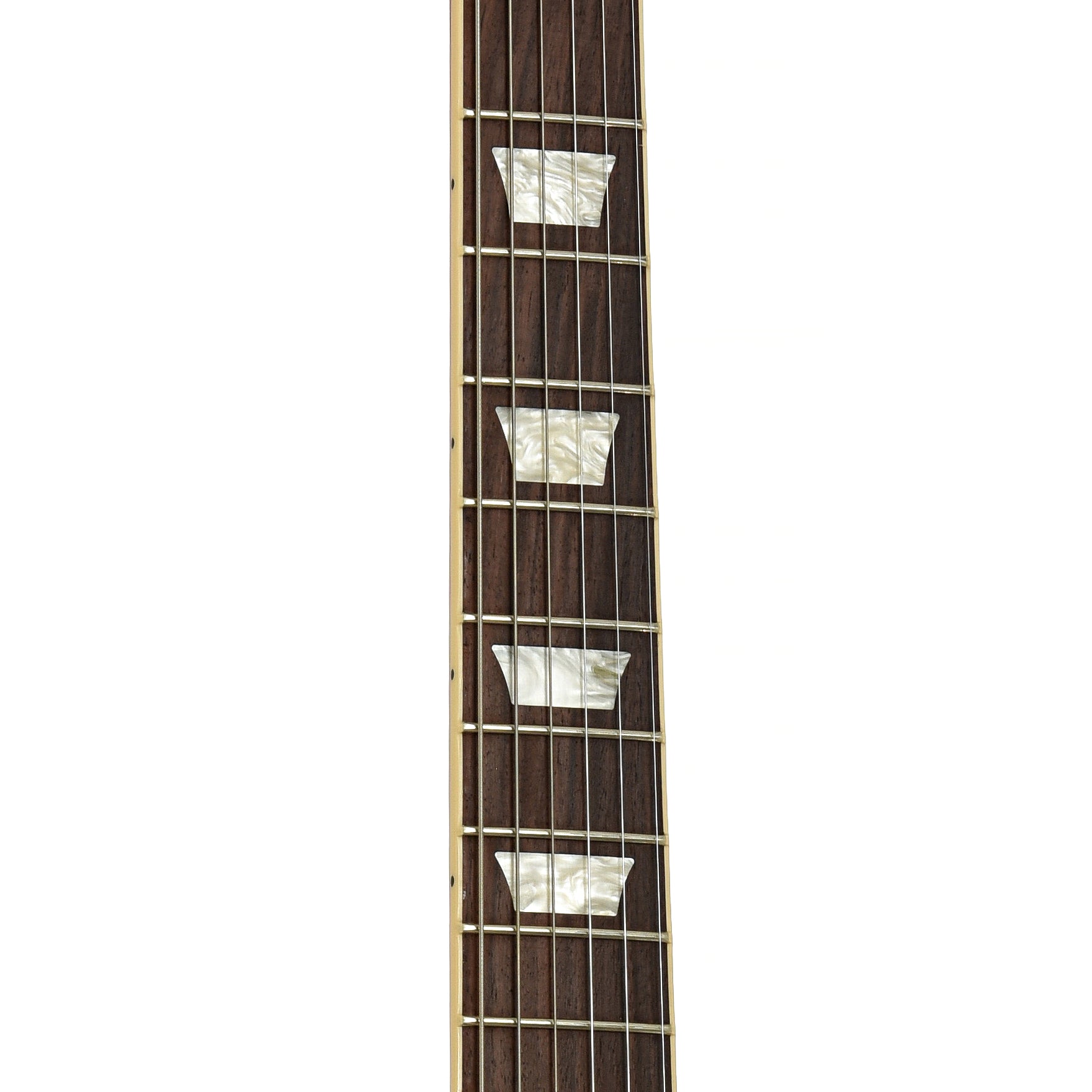 Fretboard of Gibson Les Paul Standard Electric Guitar 