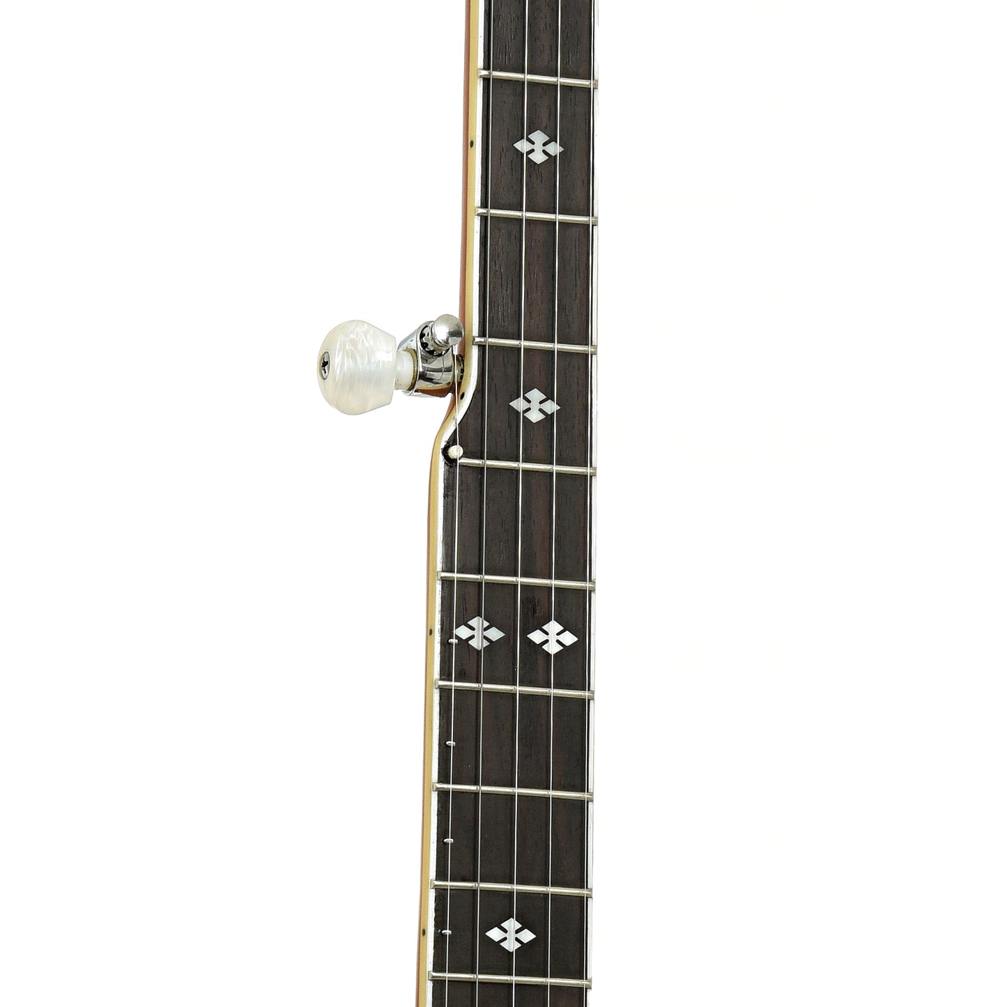 Fretboard of Gold Tone Dojo Deluxe