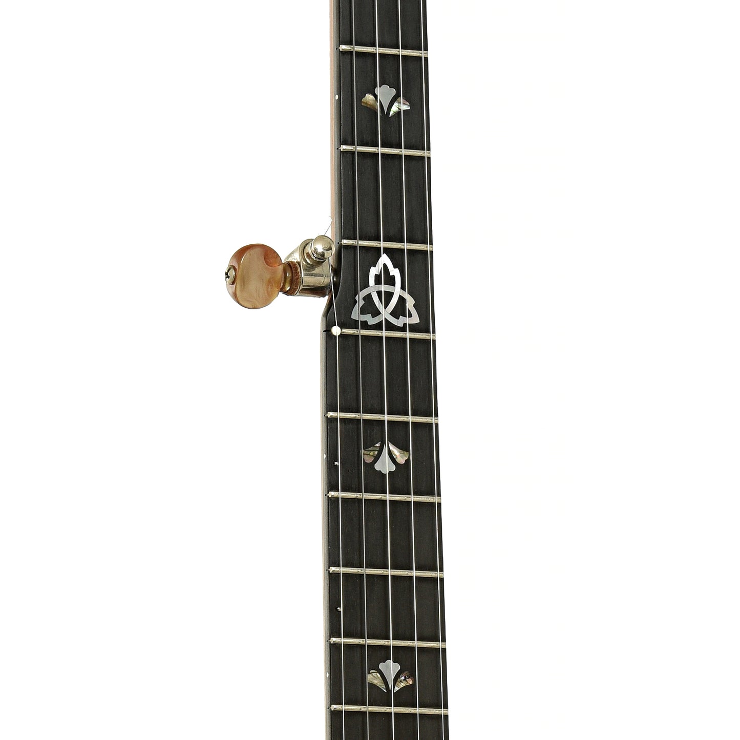 Fretboard of Ome Celtic Alpha Open Back Banjo 
