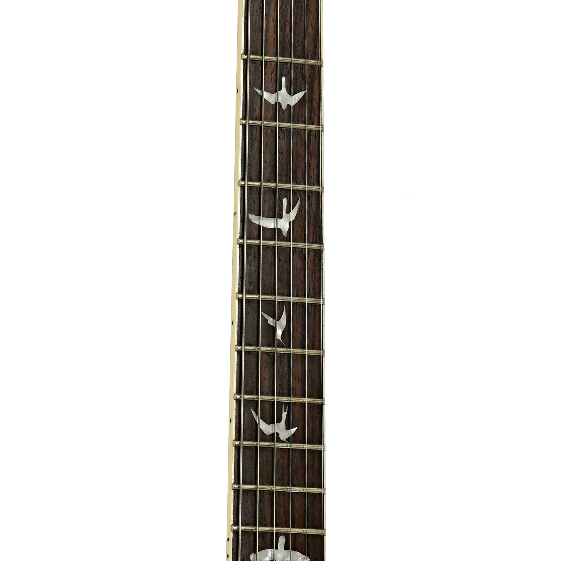 Fretboard of PRS SE Custom 24 LE Electric Guitar 
