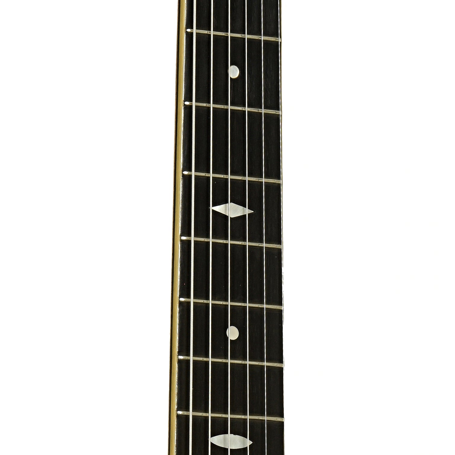 Fretboard of Vega Tubaphone Banjo-Guitar 