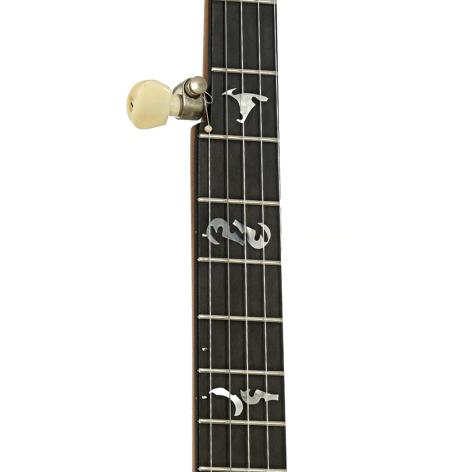 Fretboard of Vega Tubaphone Conversion Openback Banjo 