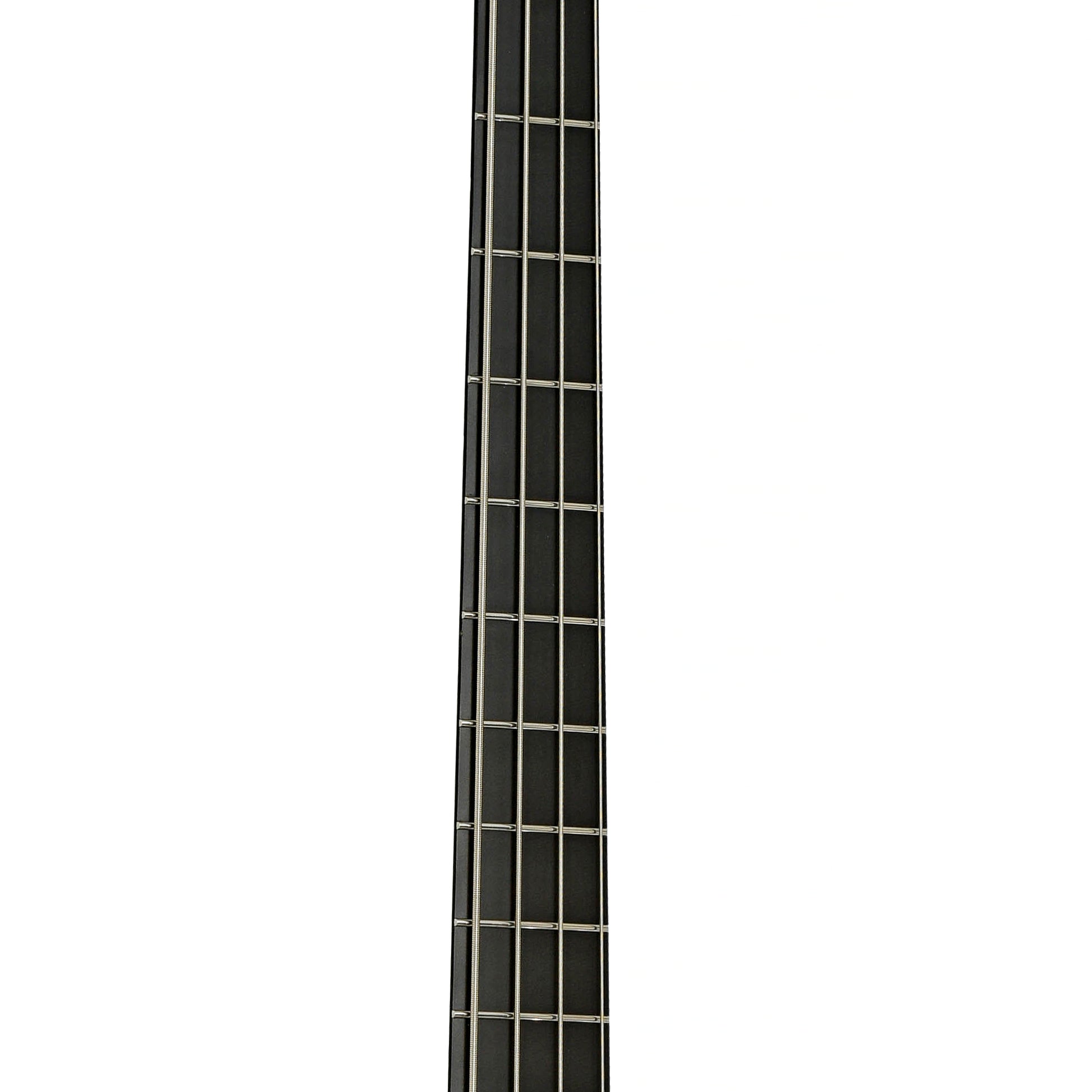 Fretboard of Parker Fly FB-4 Electric Bass