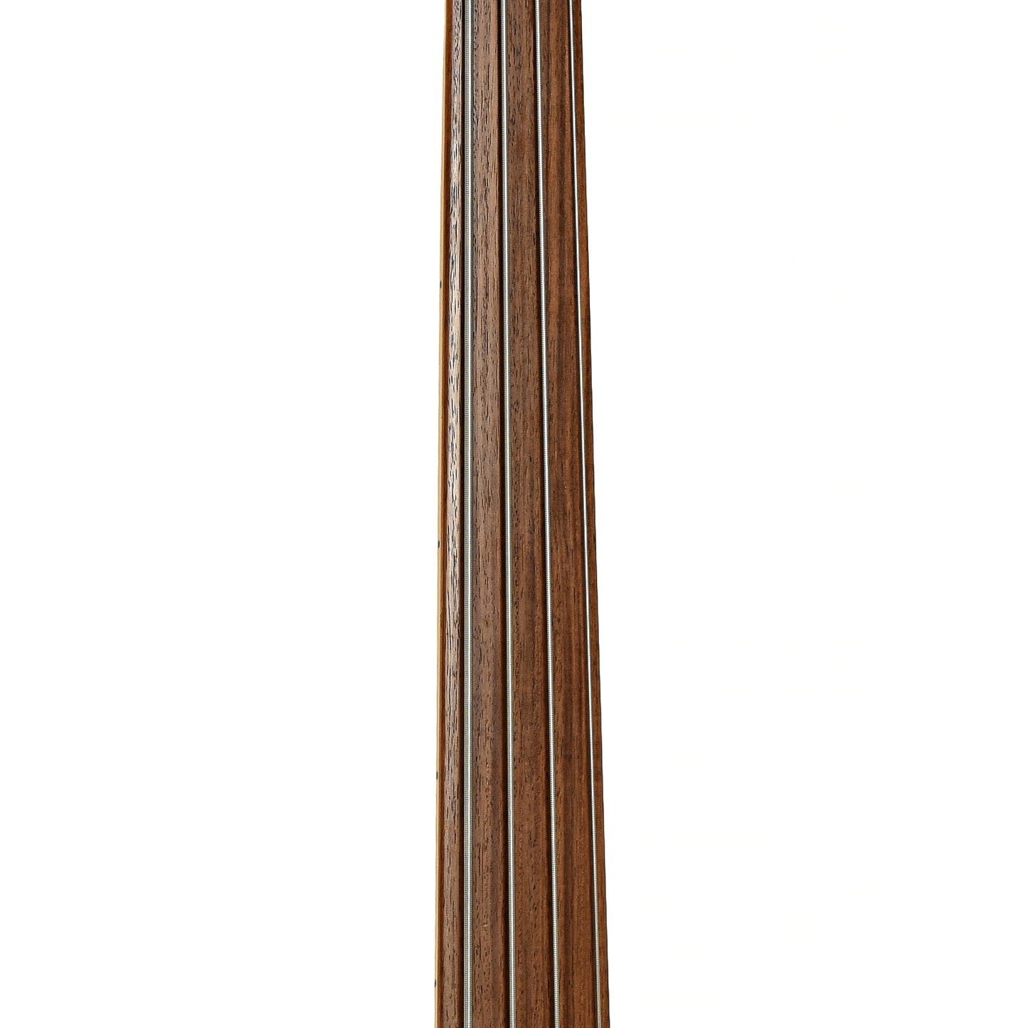 Fretboard of Fender Precision Fretless Electric Bass
