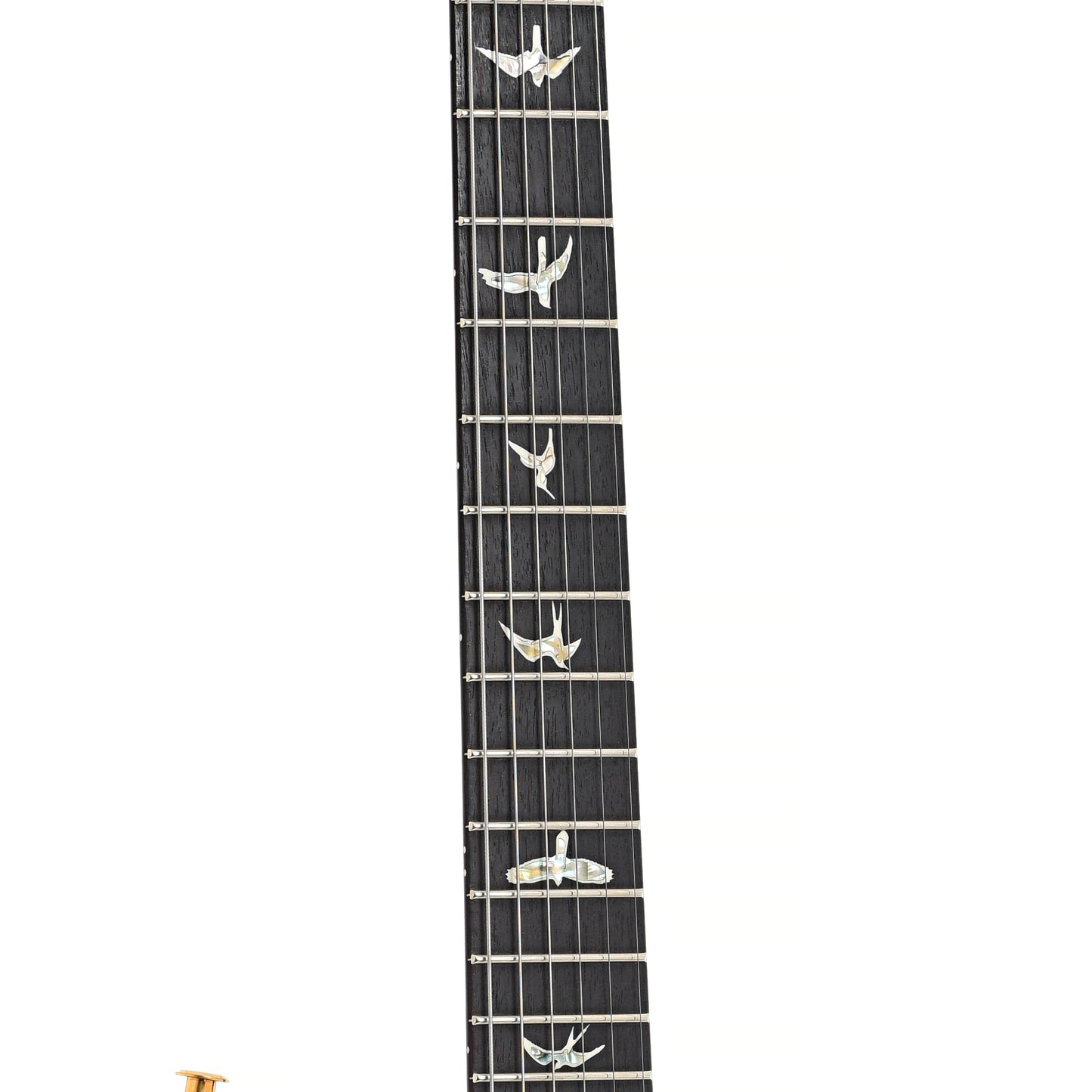 Fretboard of PRS Custom 24 Piezo Electric Guitar (2022)