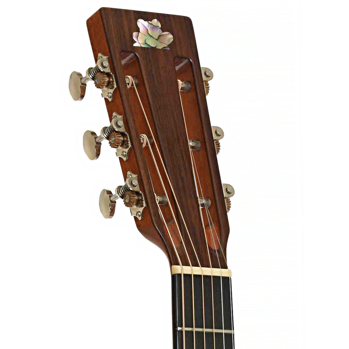 Front headstock of Froggy Bottom Model C