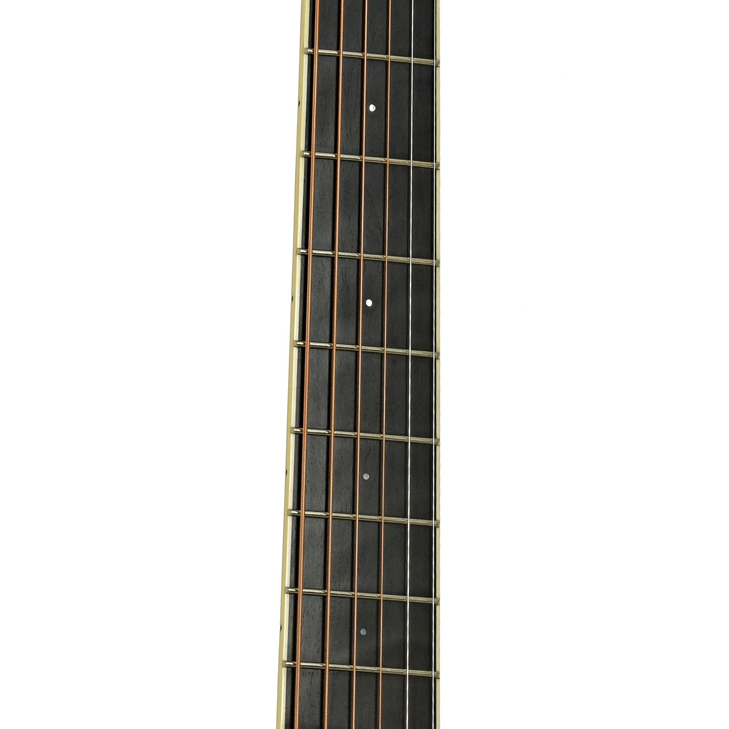 Fretboard of Santa Cruz Custom H Model Acoustic Guitar