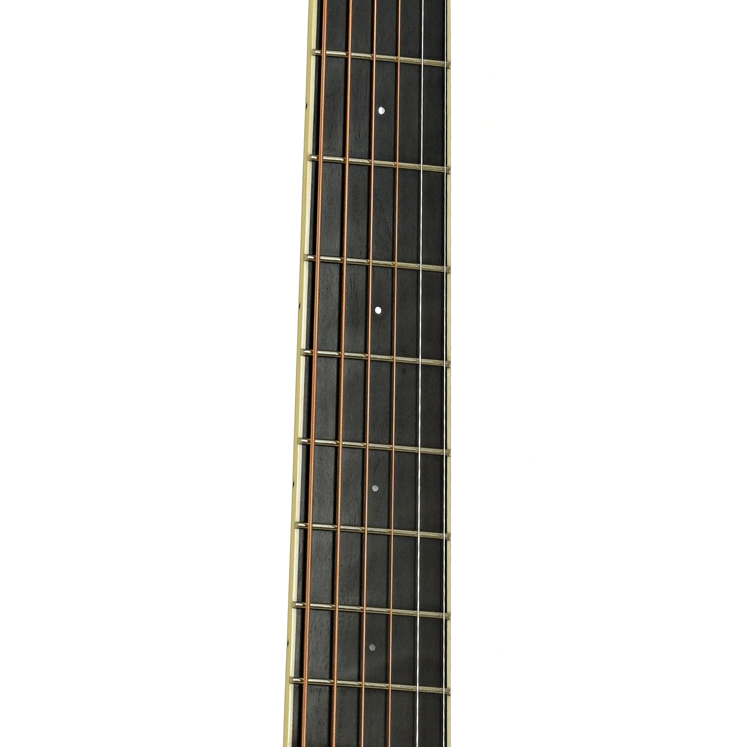 Fretboard of Santa Cruz Custom H Model Acoustic Guitar
