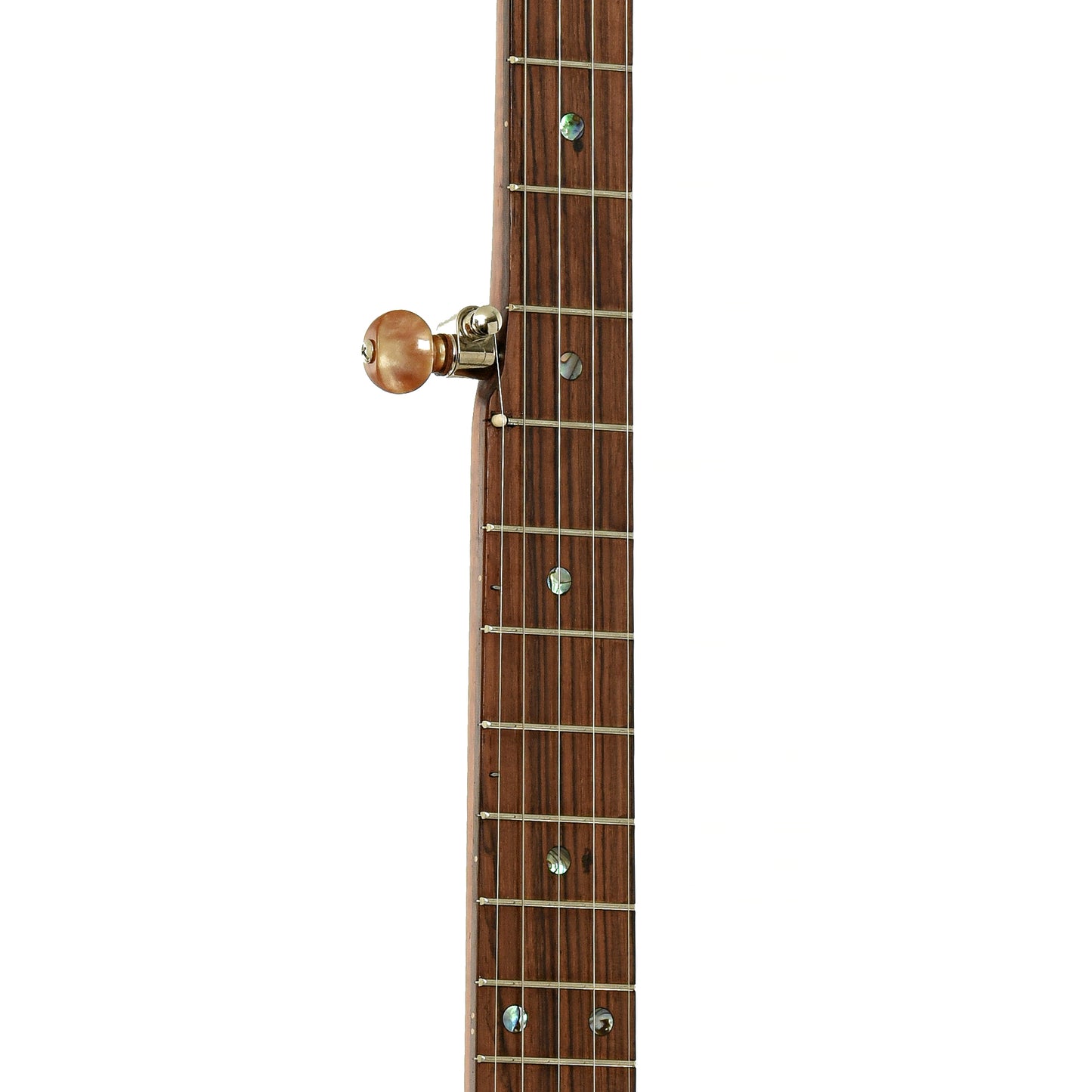 Fretboard of Starr Limited Edition Banjos 11" Curly Maple Open-back Banjo