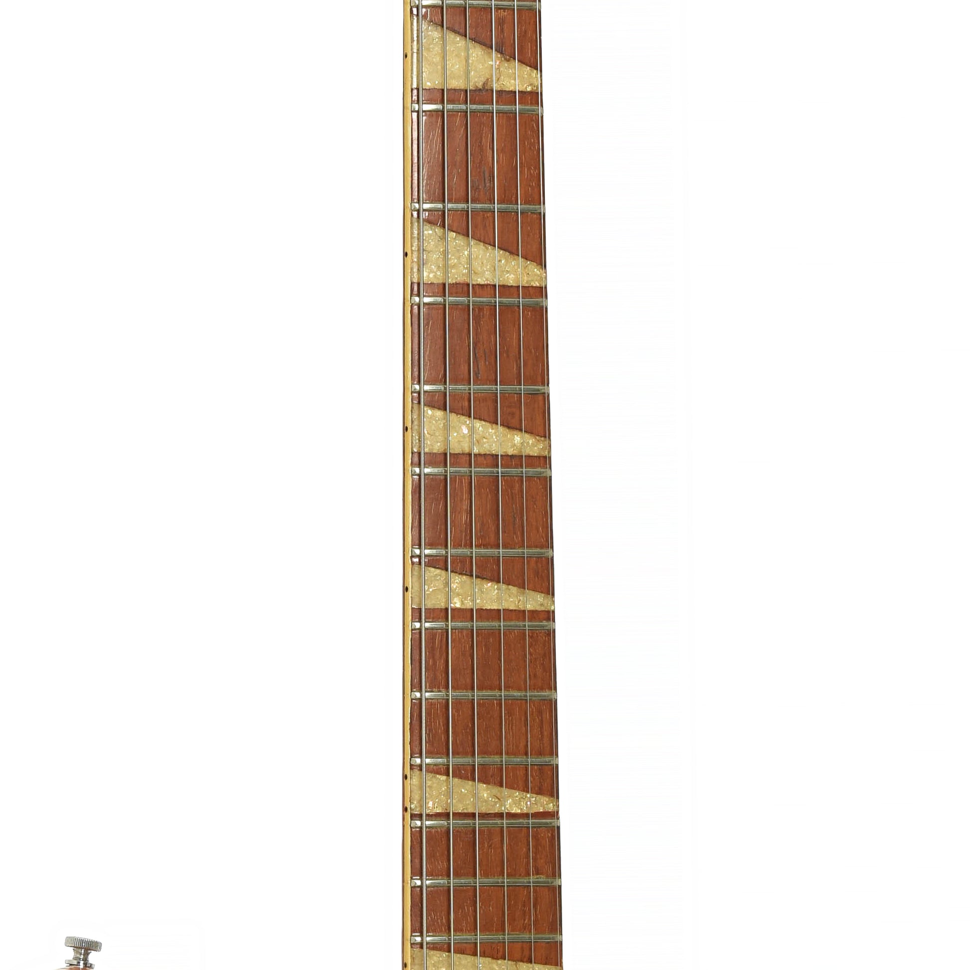 Fretboard of Rickenbaker 365 Hollowbody Electric Guitar 