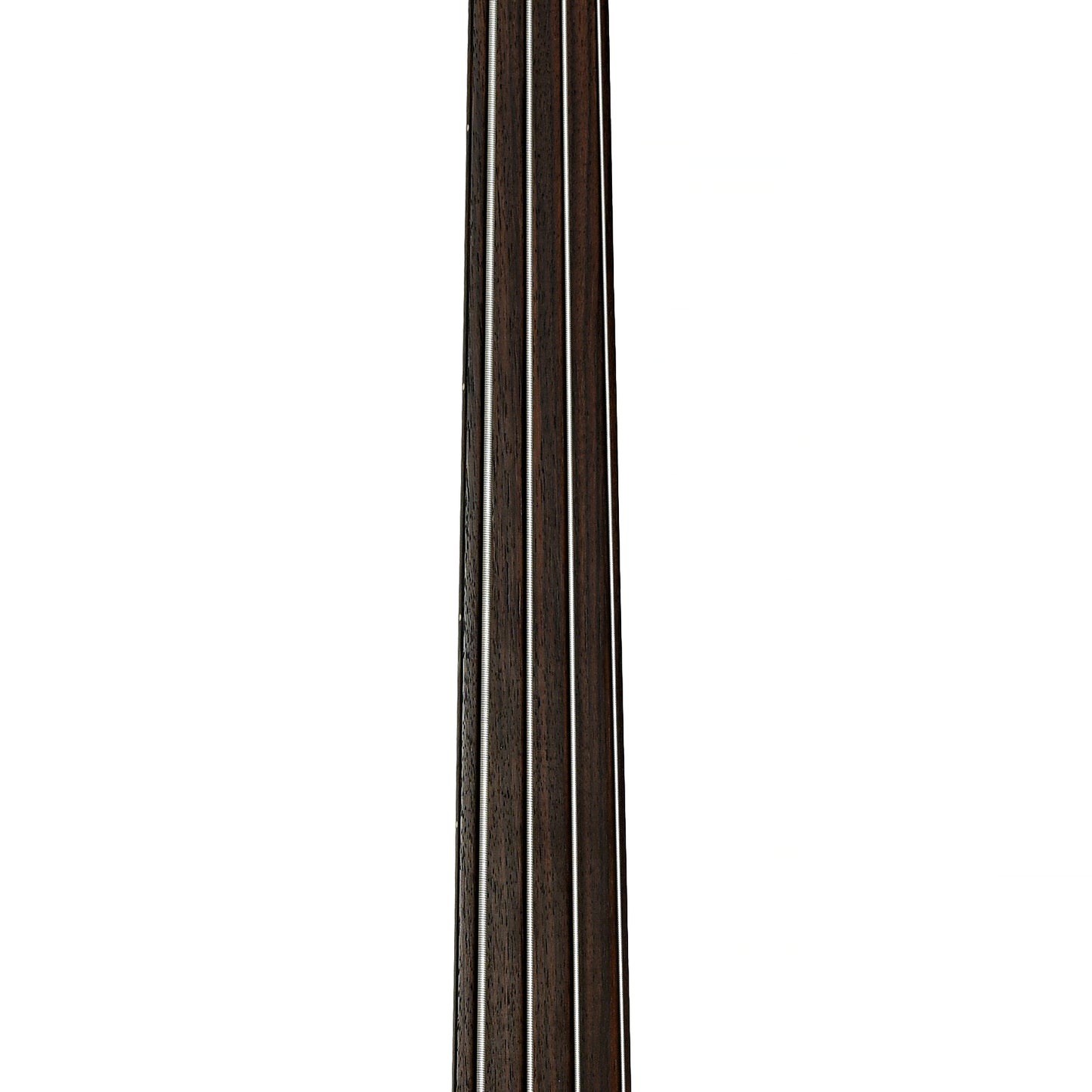Fretboard of Tacoma CB10C Thunderchief Fretless Acoustic-Electric Bass