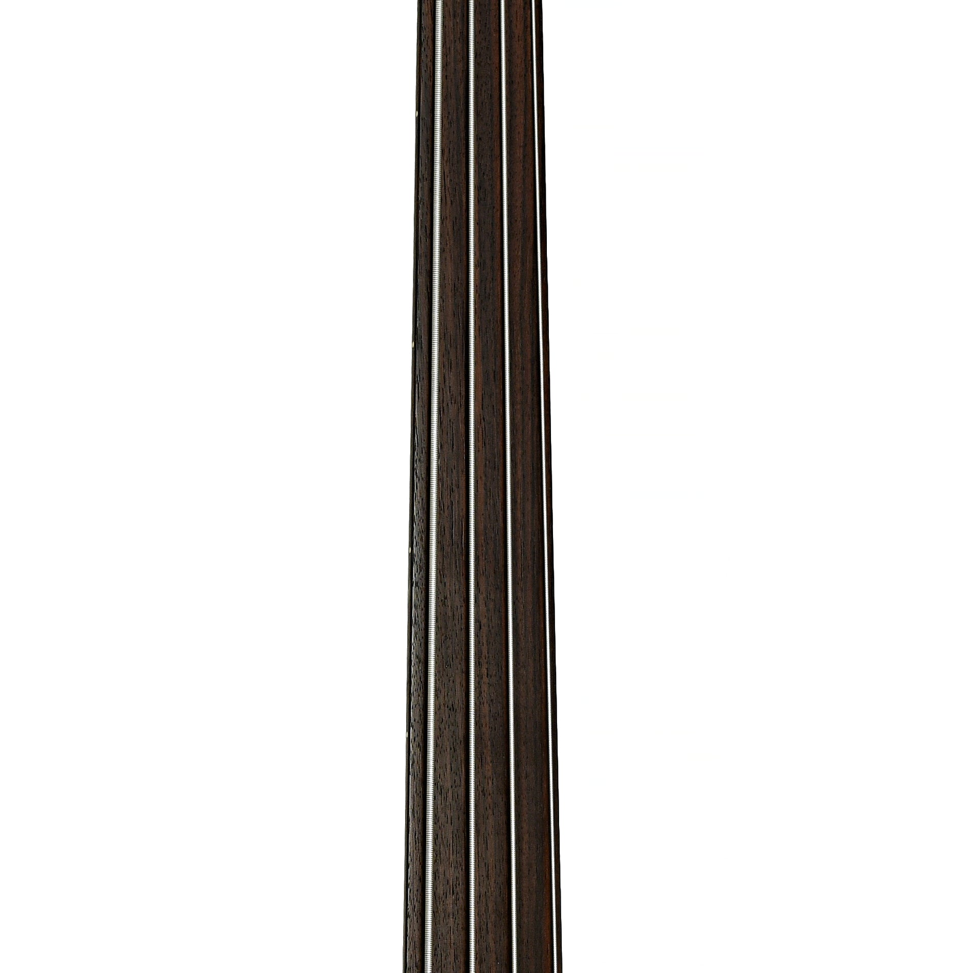 Fretboard of Tacoma CB10C Thunderchief Fretless Acoustic-Electric Bass