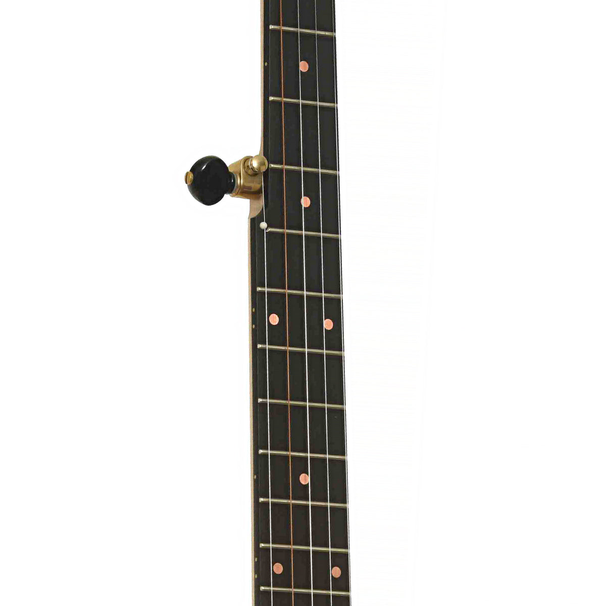 Pisgah Laydie 12in Short Scale Openback Banjo & Gigbag