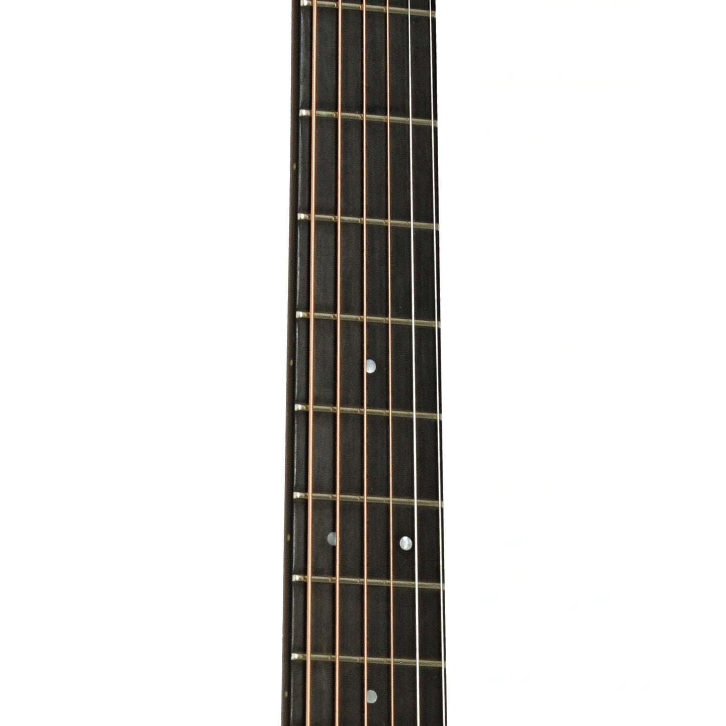 Fretboard of Gallagher Bluegrass Bell GA Acoustic Guitar