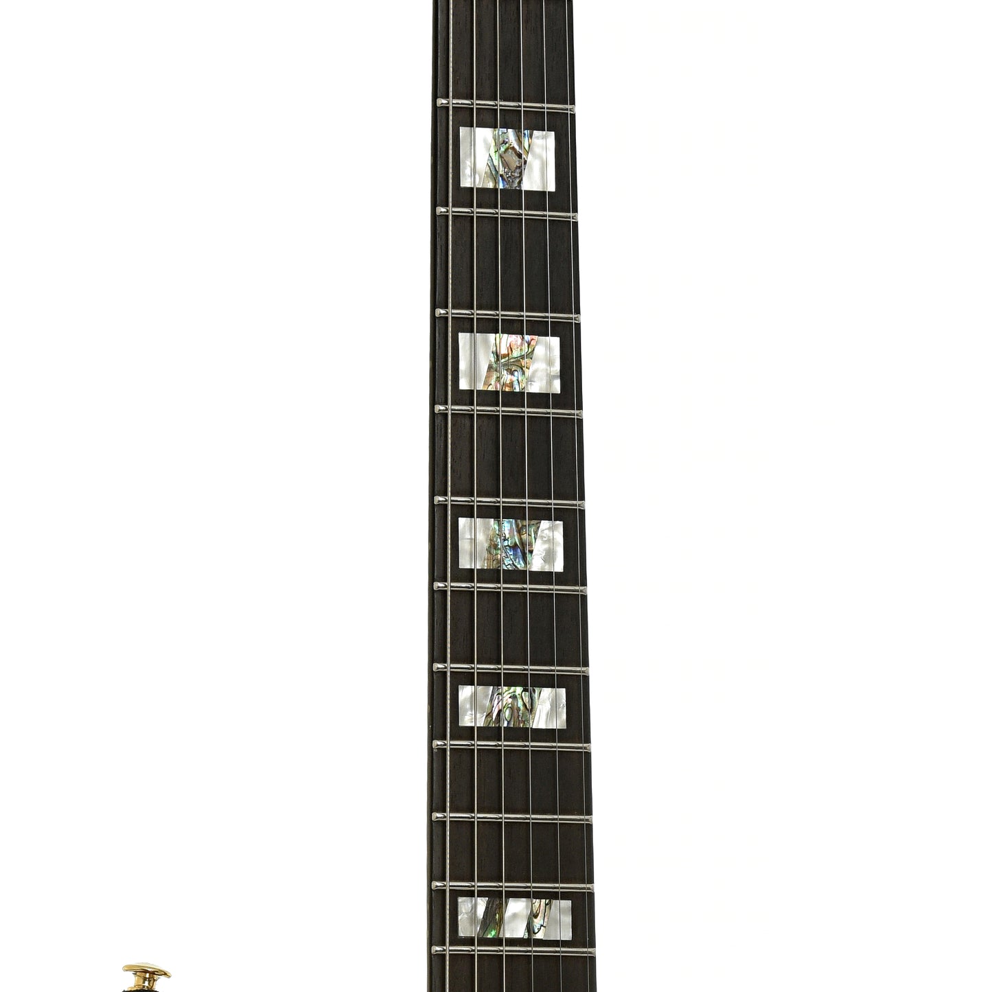 Fretboard of Ibanez RGT1220PB Electric Guitar 
