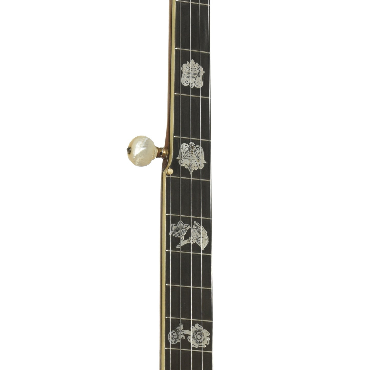 Fretboard of Vega Tubaphone No.9 Openback Banjo 