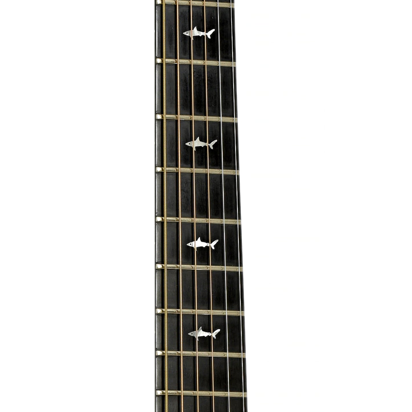 Fretboard of Rainsong OM-1000 Acoustic-Electric Guitar