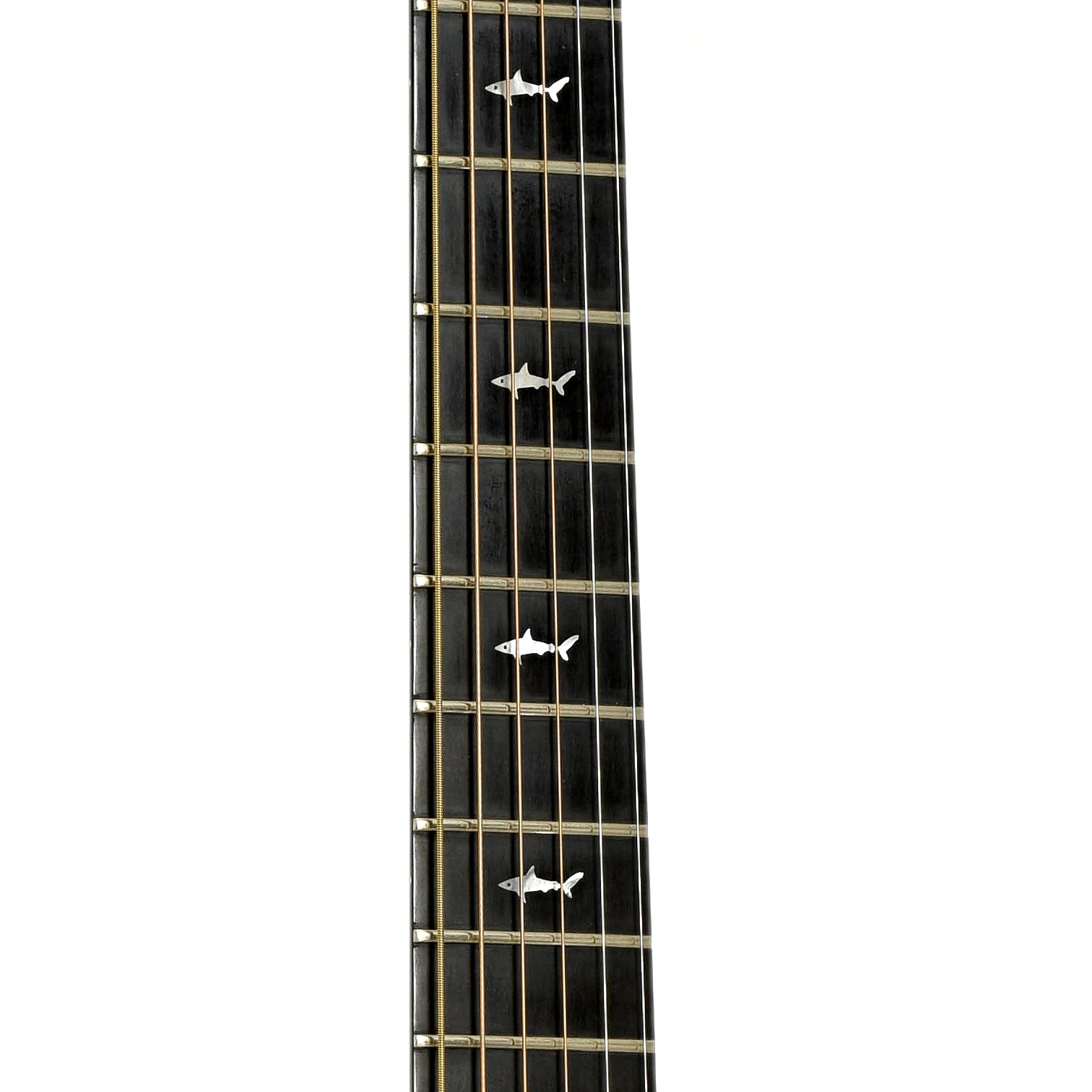 Fretboard of Rainsong OM-1000 Acoustic-Electric Guitar