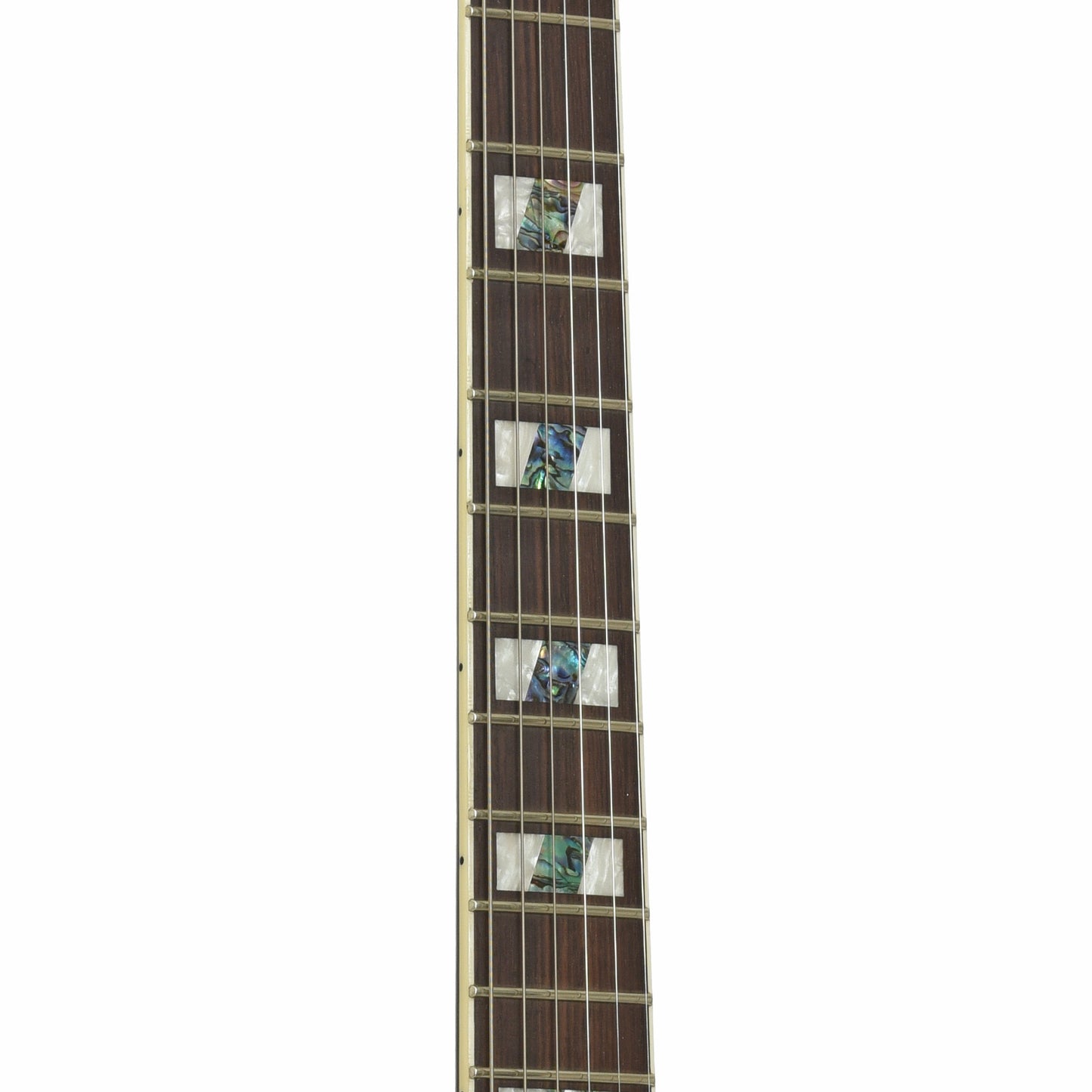 Fretboard of ESP LTD Alex Skolnick Signature Electric Guitar