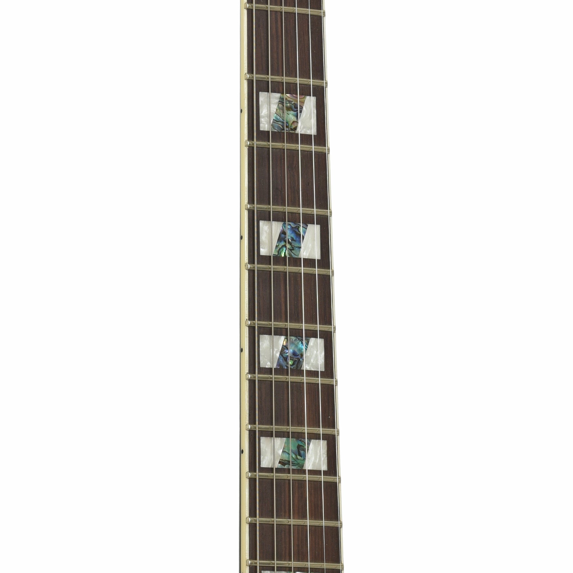 Fretboard of ESP LTD Alex Skolnick Signature Electric Guitar