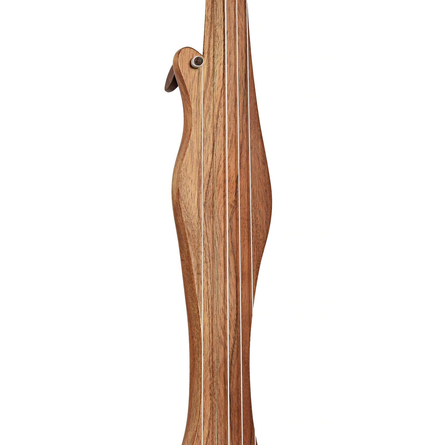 Fingerboard of Menzies Fretless Tackhead Banjo #596