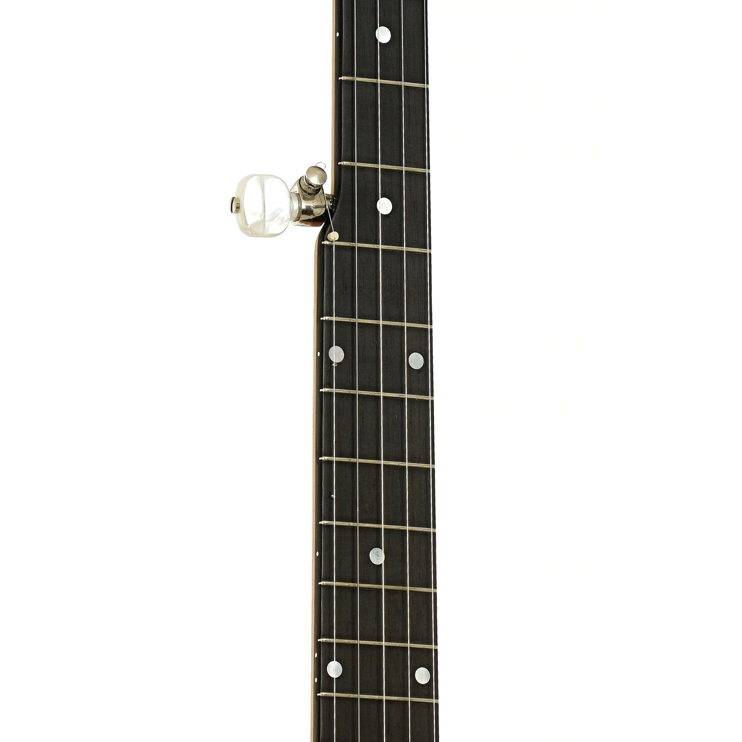 Fretboard of Mike Ramsey Custom Maple Special Open Back Banjo