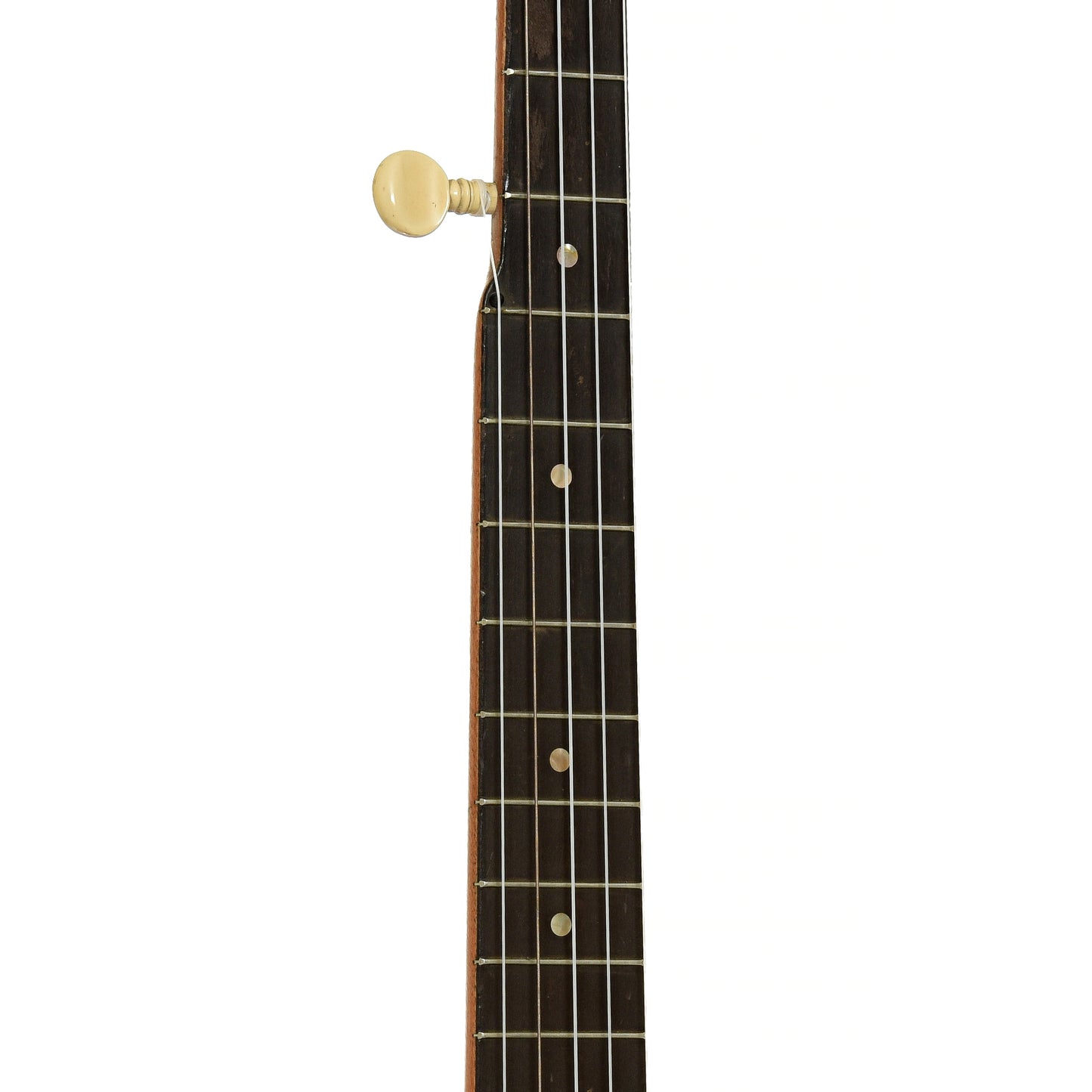 Fretboard of Lyon & Healy College Line Openback Banjo 