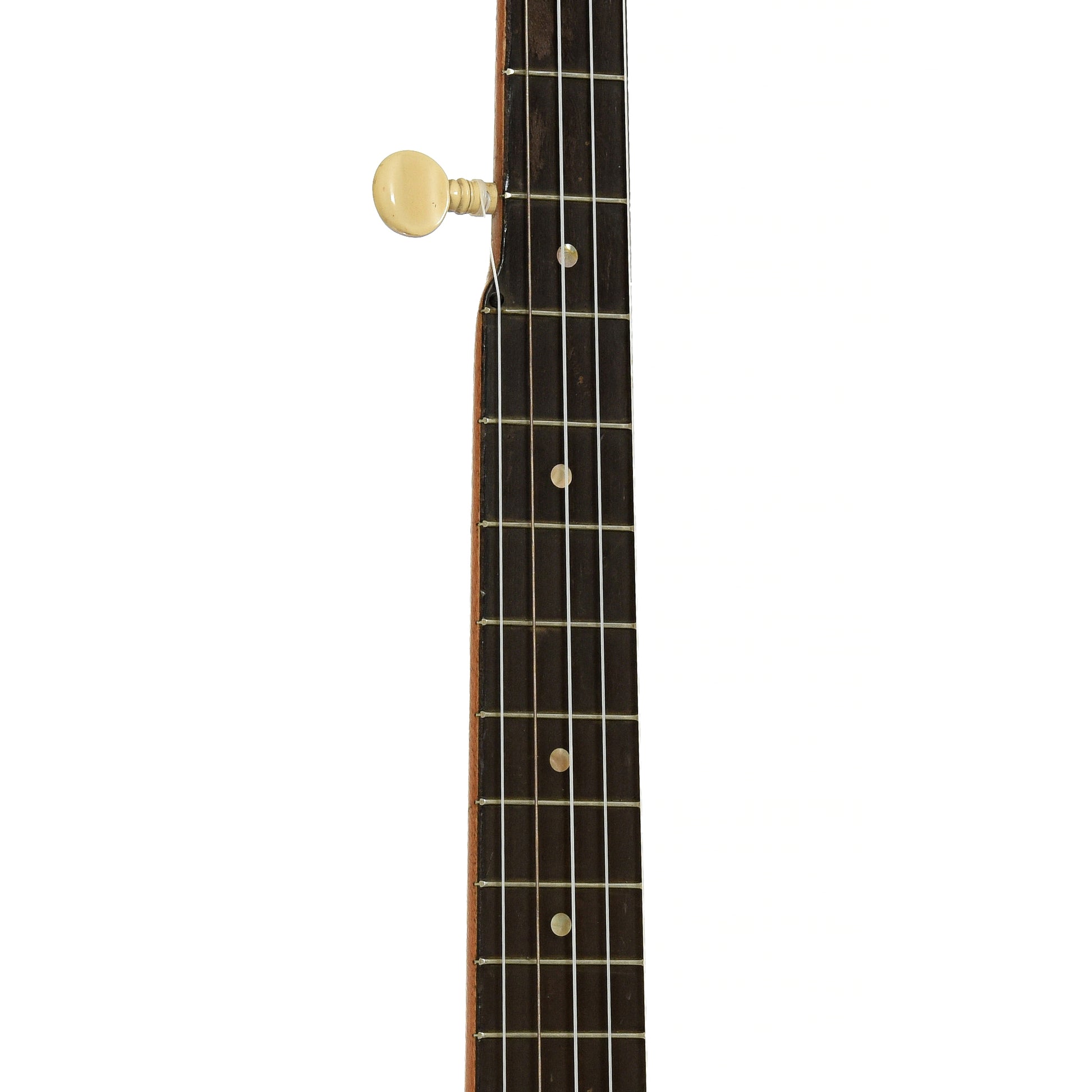 Fretboard of Lyon & Healy College Line Openback Banjo 