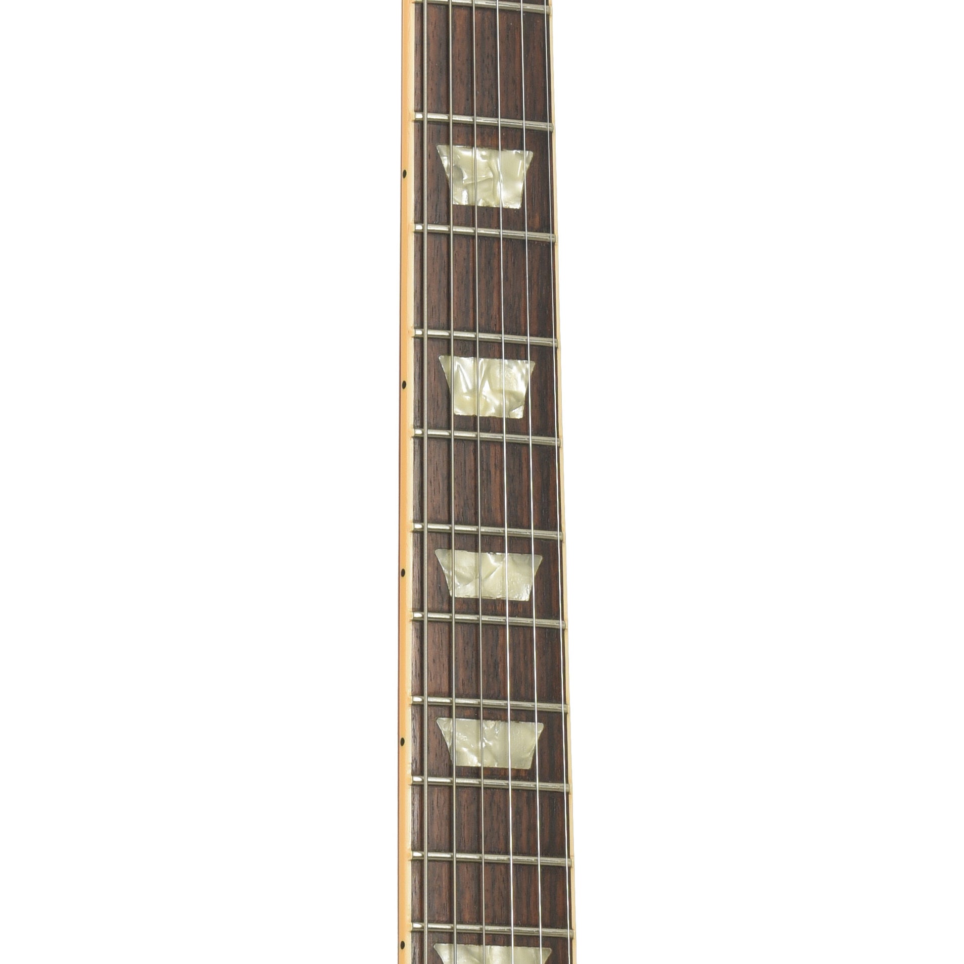 Fretboard of Gibson Les Paul Standard Plus Electric Guitar
