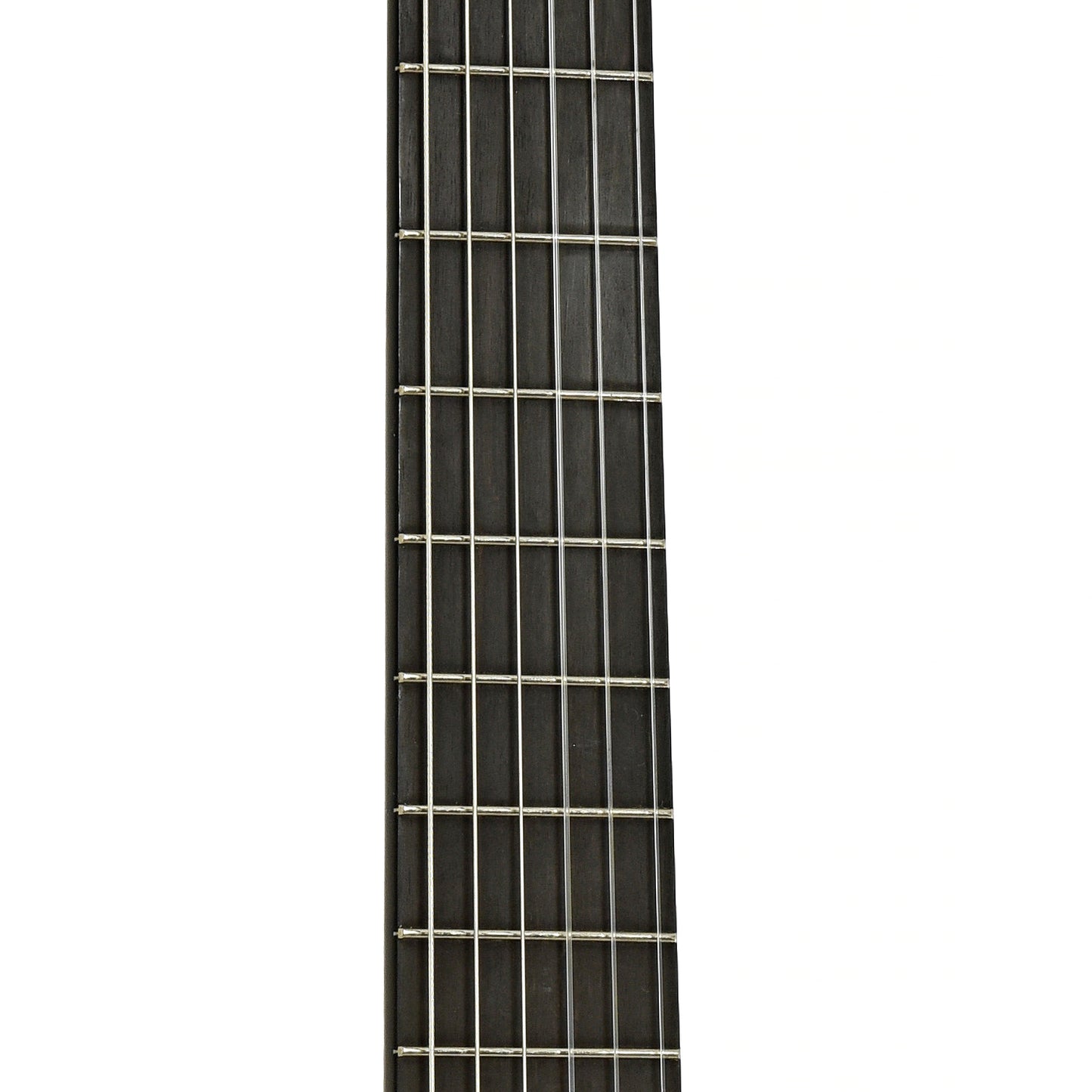 Fretboard of Cordoba Friederich Classical Guitar