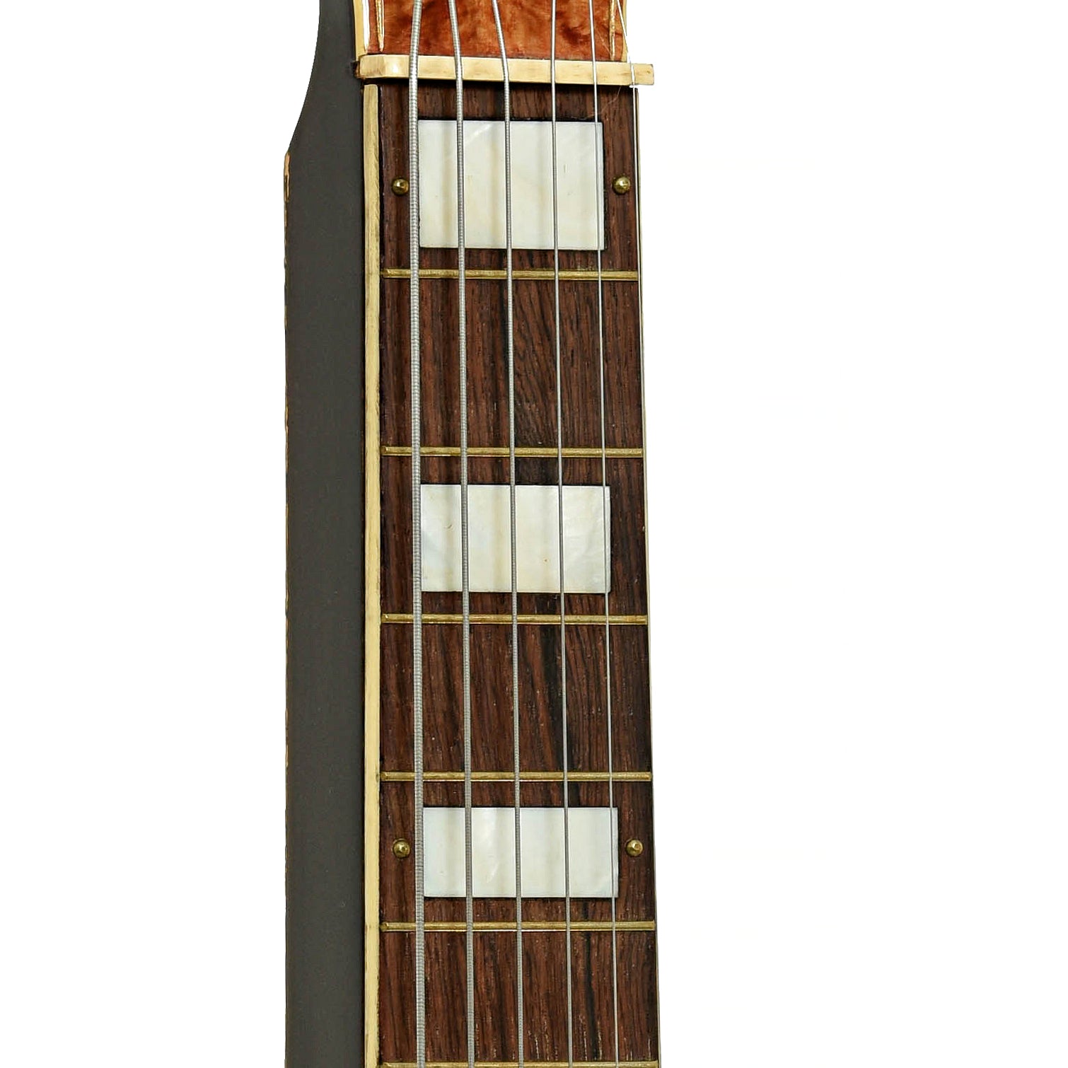 Fretboard of Sherwood Deluxe Lap Steel Guitar 