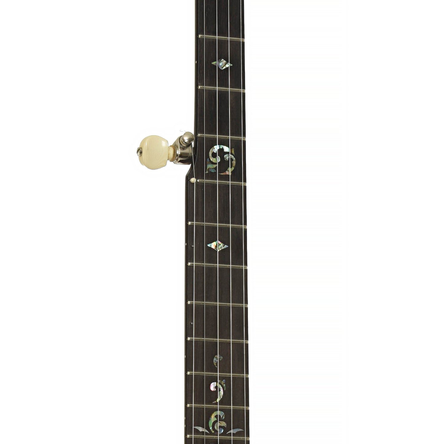 Fretboard of Ome Juniper Deluxe 12" Open Back Banjo