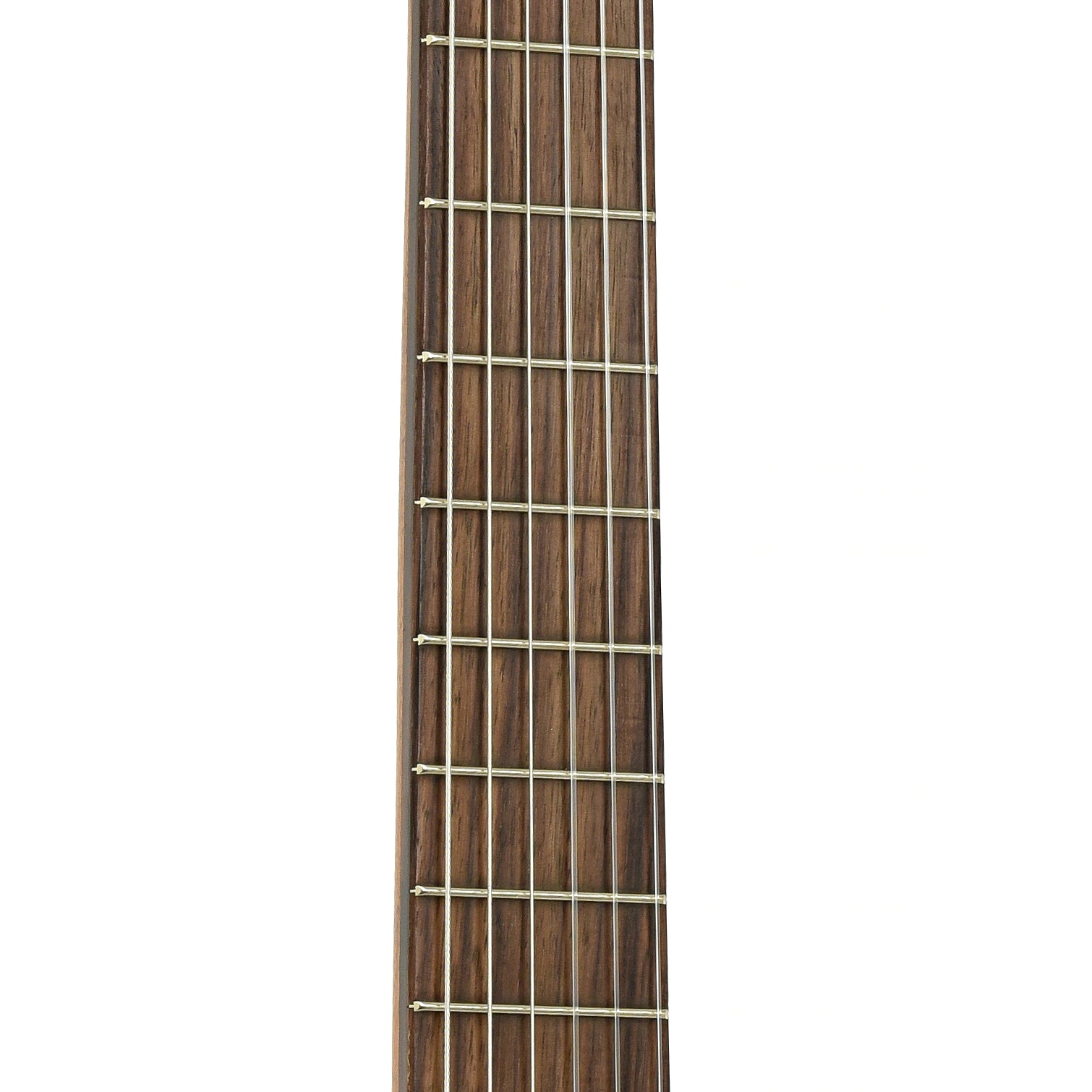 Fretboard of Kremona Rosa Luna RL Flamenco Guitar 