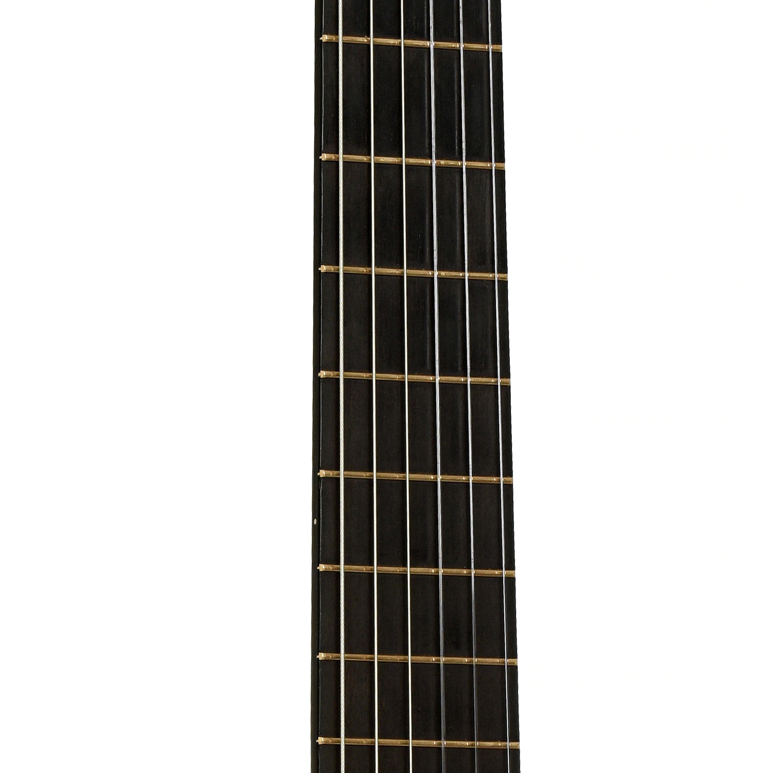 Fretboard of Francois Laramee Classical Acoustic Guitar