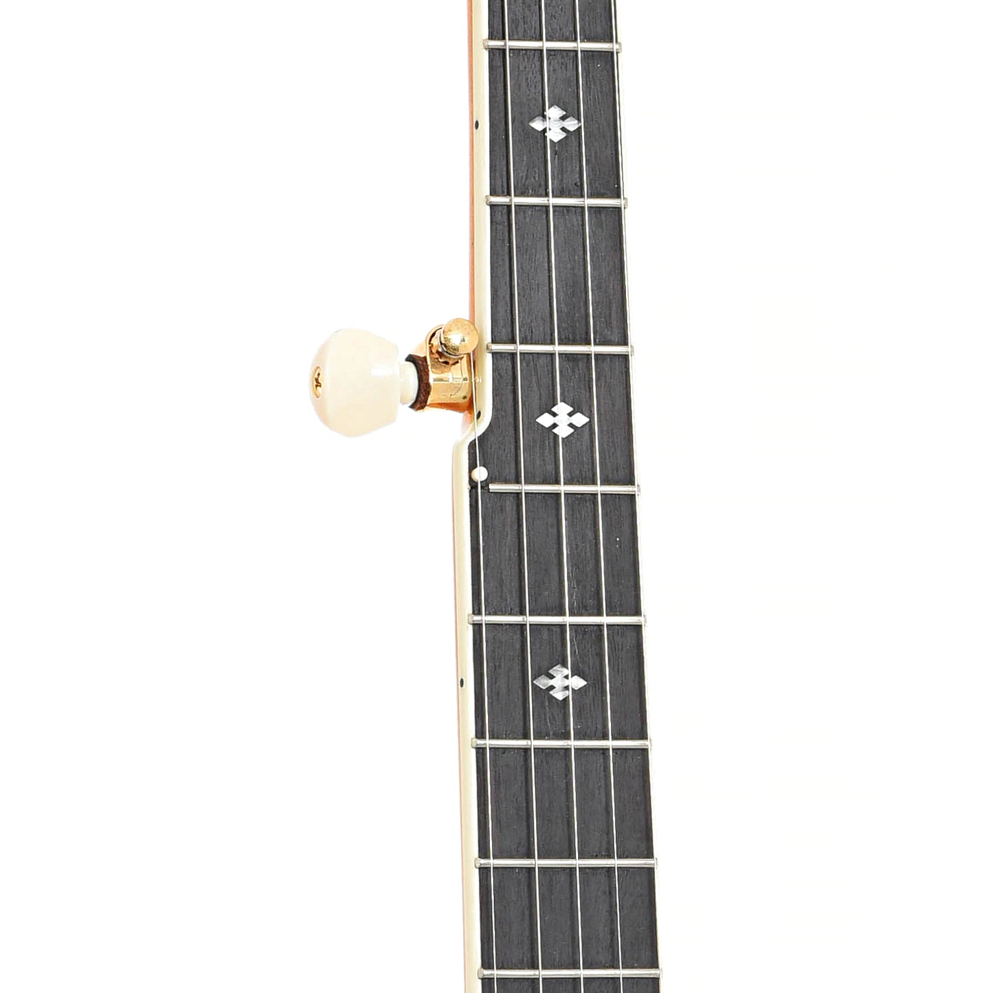Fretbaord of Gold Tone EBM-5 Electric 5-String Banjo (recent)