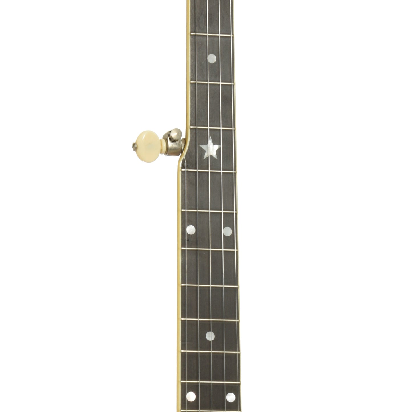Fretboard of Bart Reiter Professional Openback Banjo