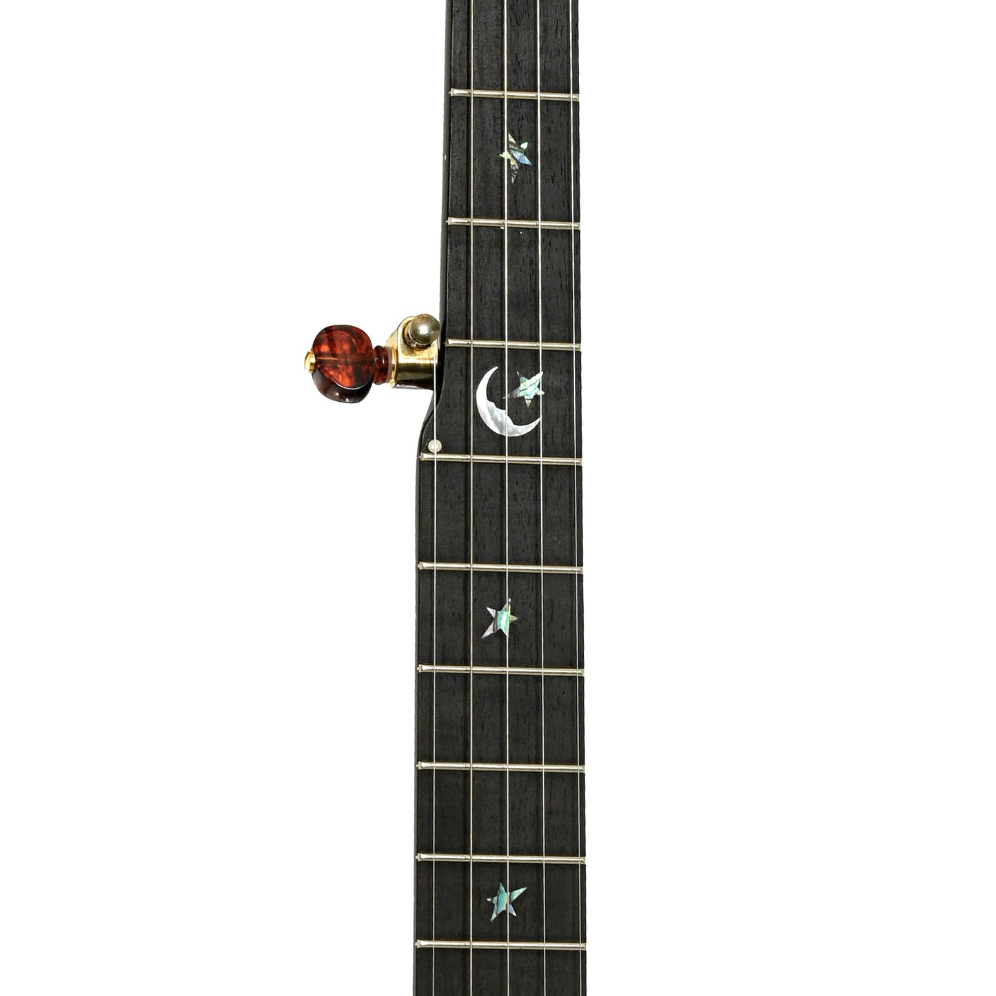 Fretboard of Ome Jubilee 11" Openback Banjo, Maple Neck