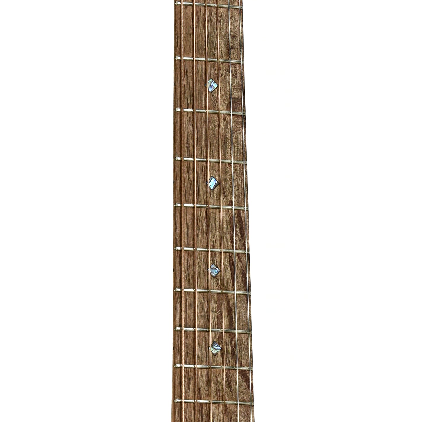 Fretboard of Cole Clark AN2EC Angel 2 Acoustic-Electric Guitar