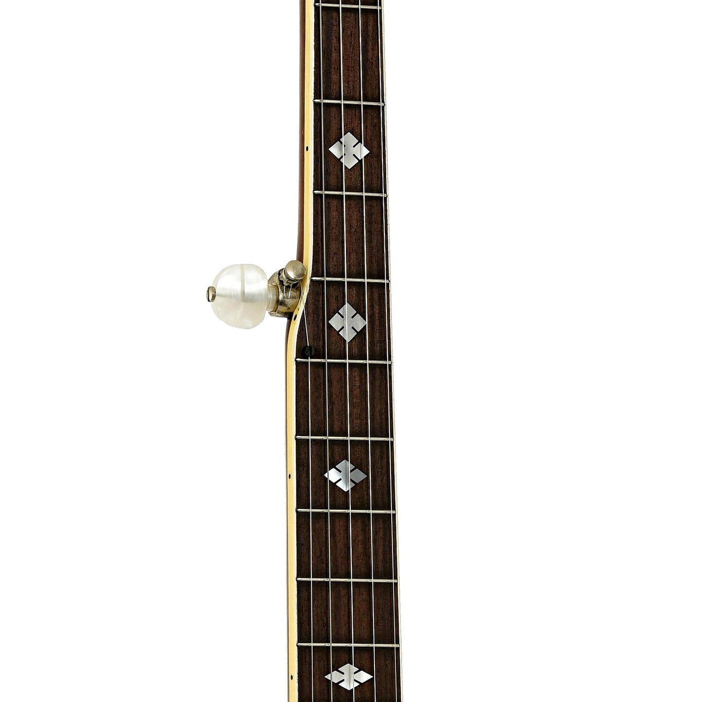 Fretboard of Alvarez Silver Princess Open Back Banjo 