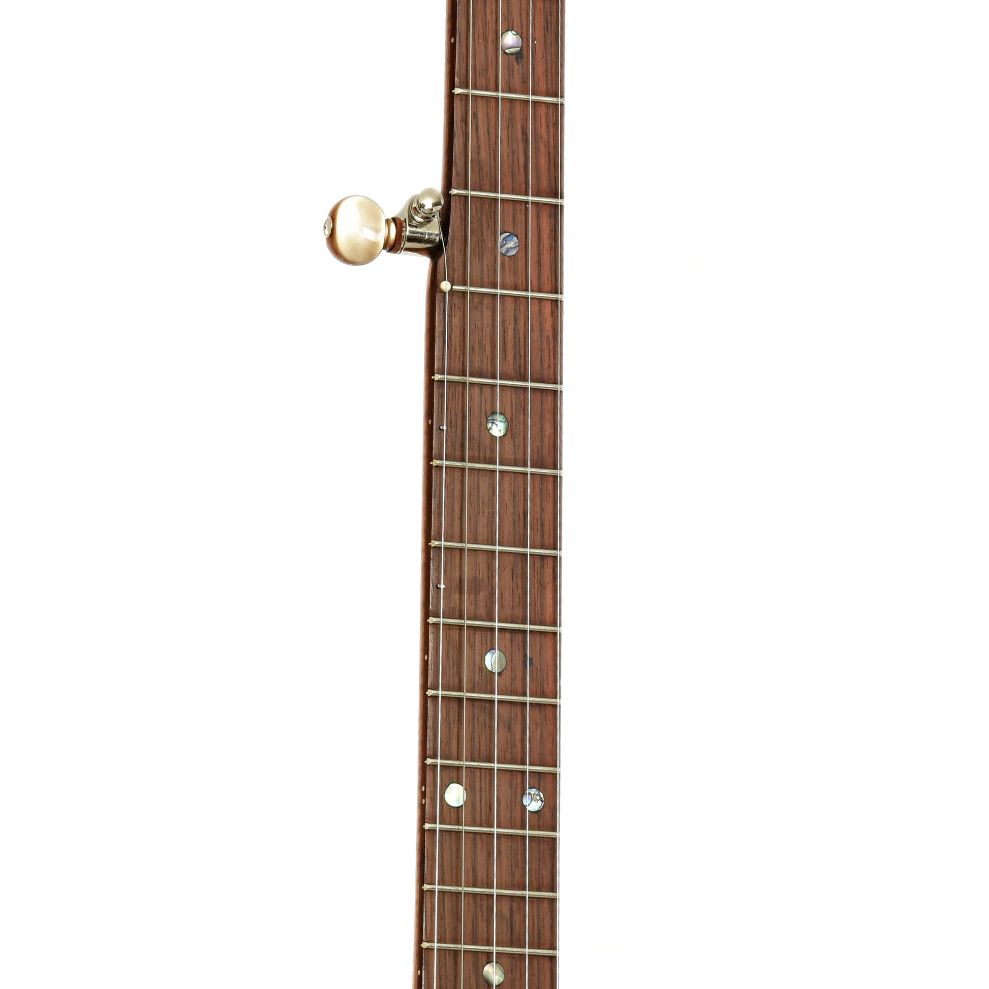 Fretboard of Starr Banjos 13" Curly Maple Openback Banjo