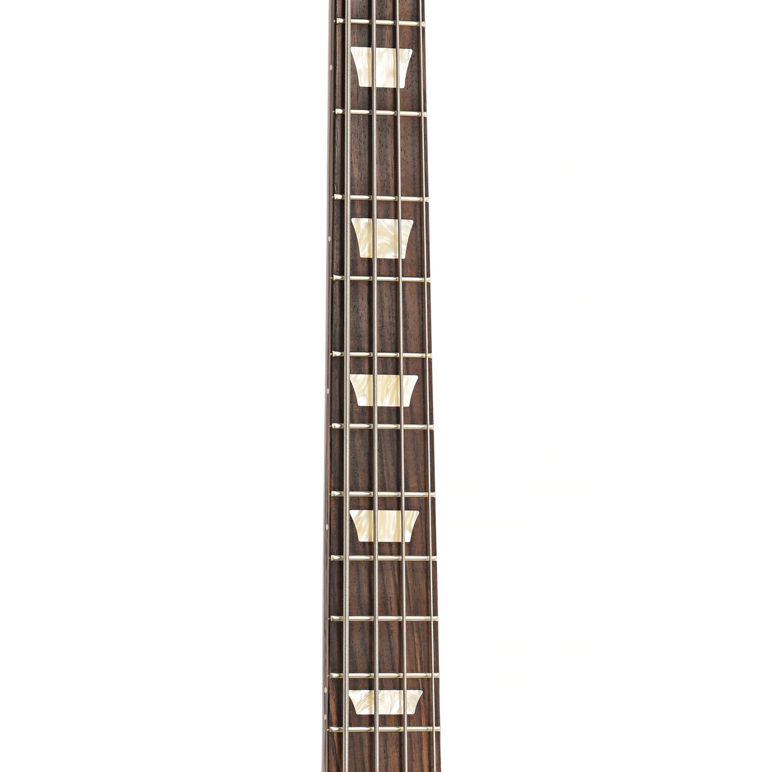 Fretboard of Gibson SG Bass