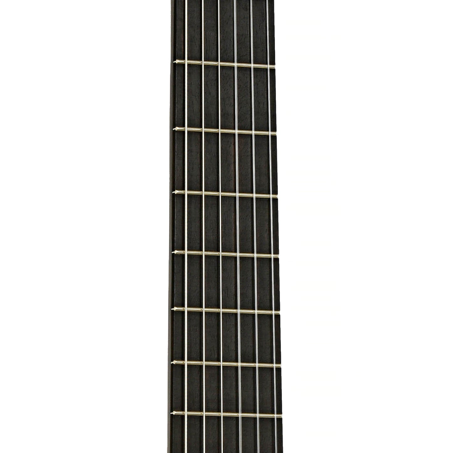 Fretboard of Antonio Apparicio AA40F Flamenco Guitar