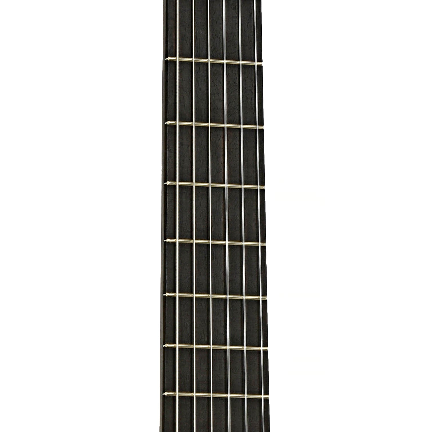 Fretboard of Antonio Apparicio AA40F Flamenco Guitar