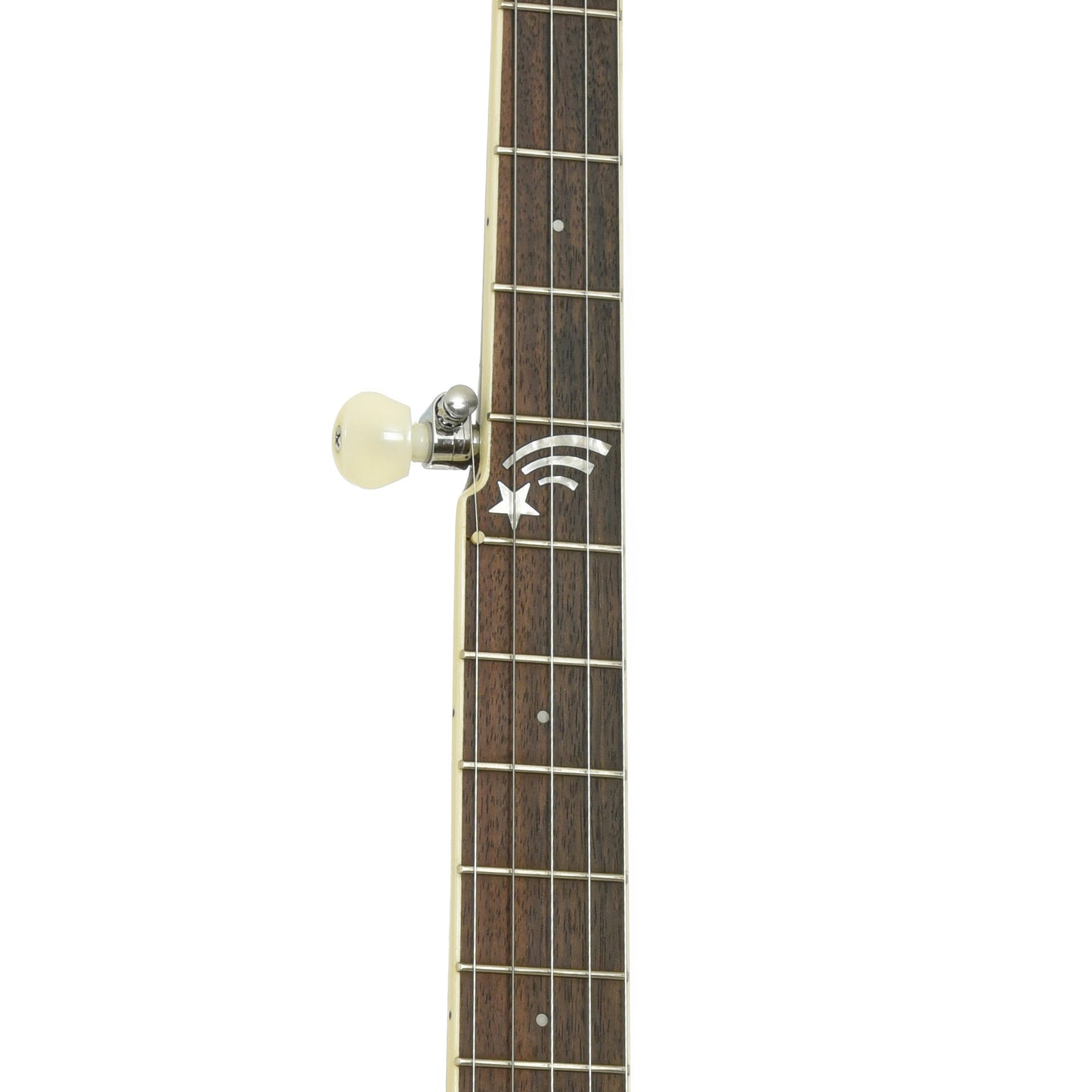 Fretboard of Gold Tone Banjola+ S