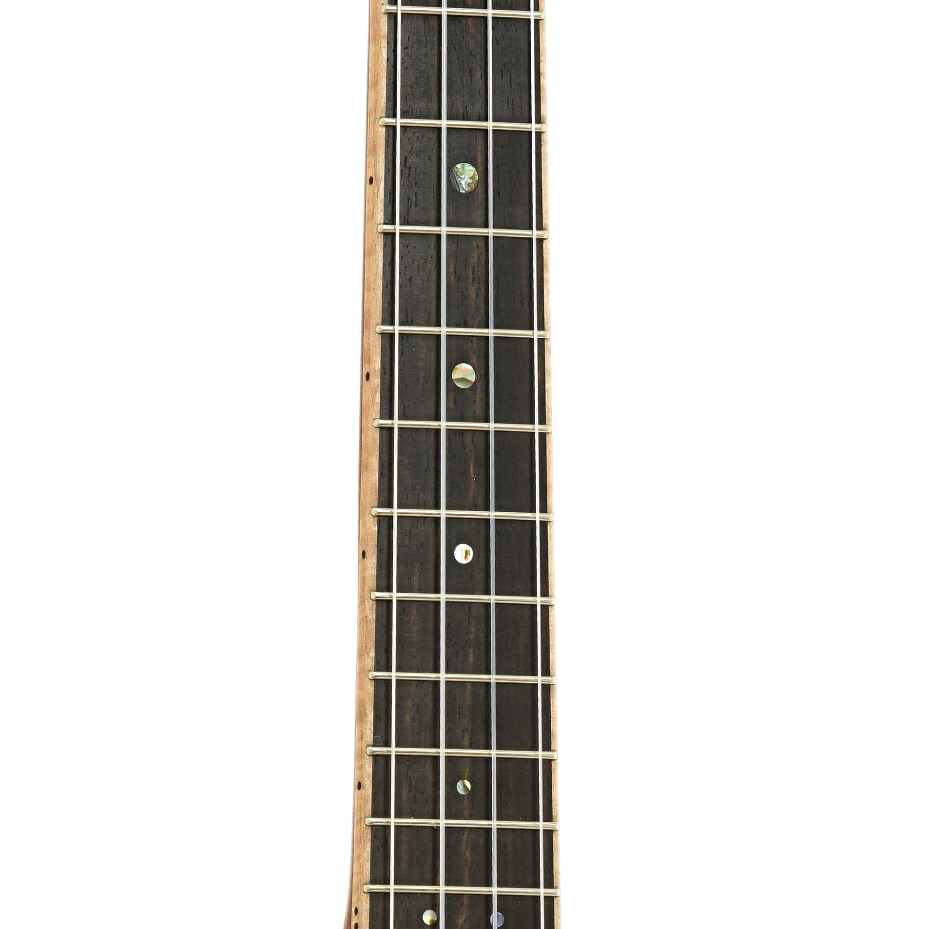 Fretboard of Mya-Moe Resonator Tenor Ukulele