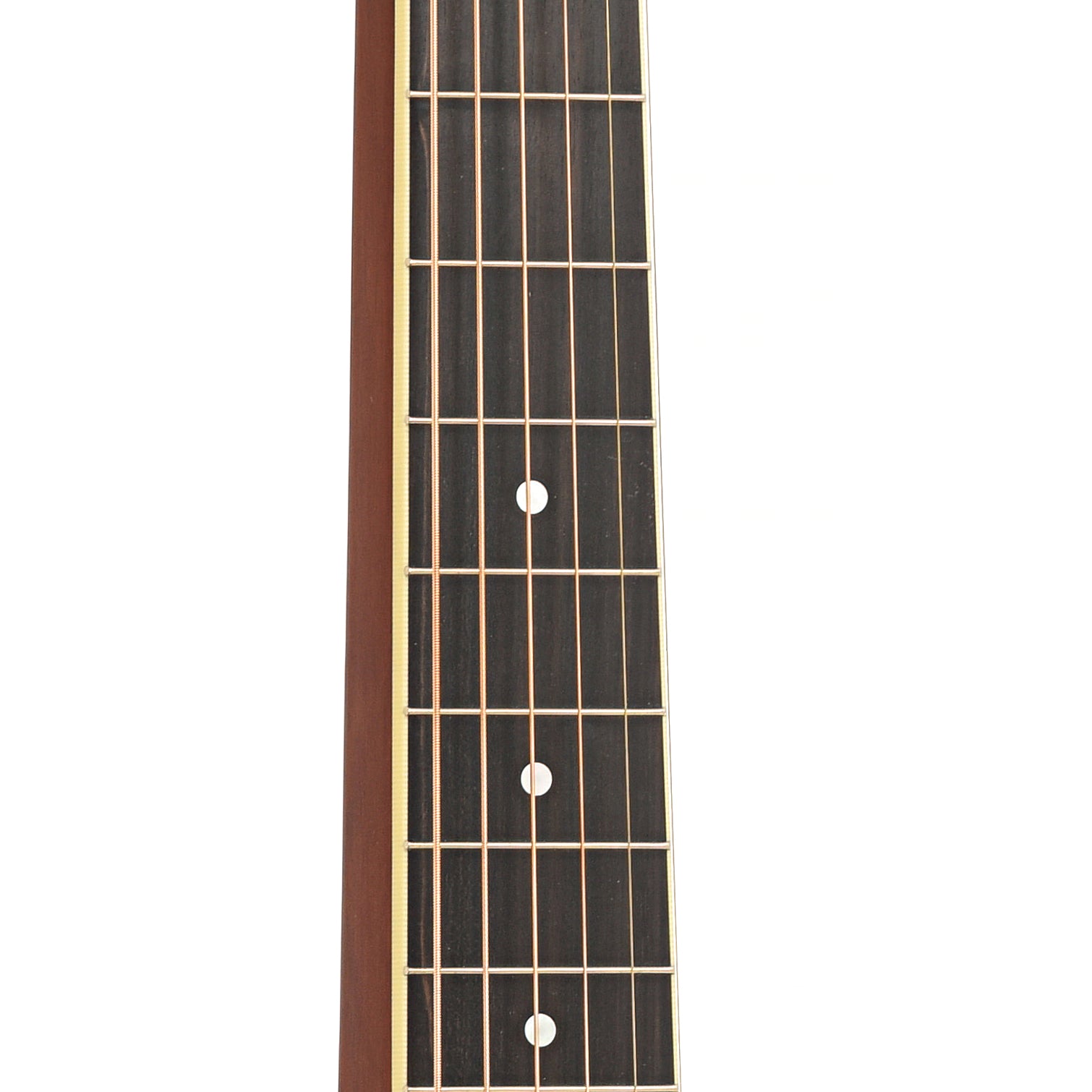 Fretboard of National Style 1 German Silver Squareneck Tricone 