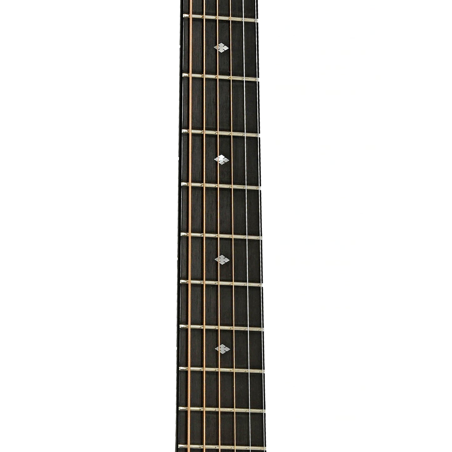 Fretboard of Taylor 514-C Acoustic Guitar