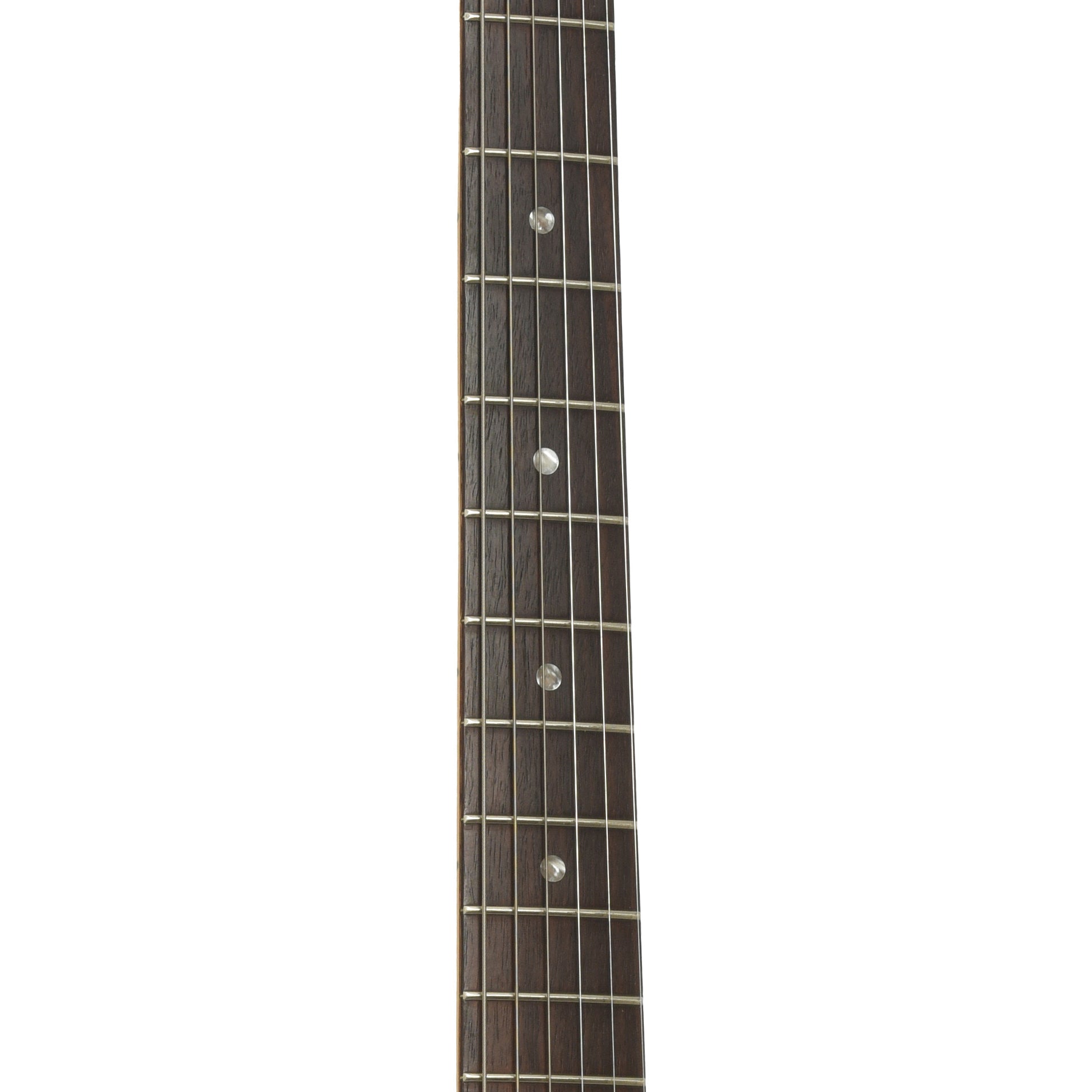 fretboard of Fender Stratocaster Electric Guitar
